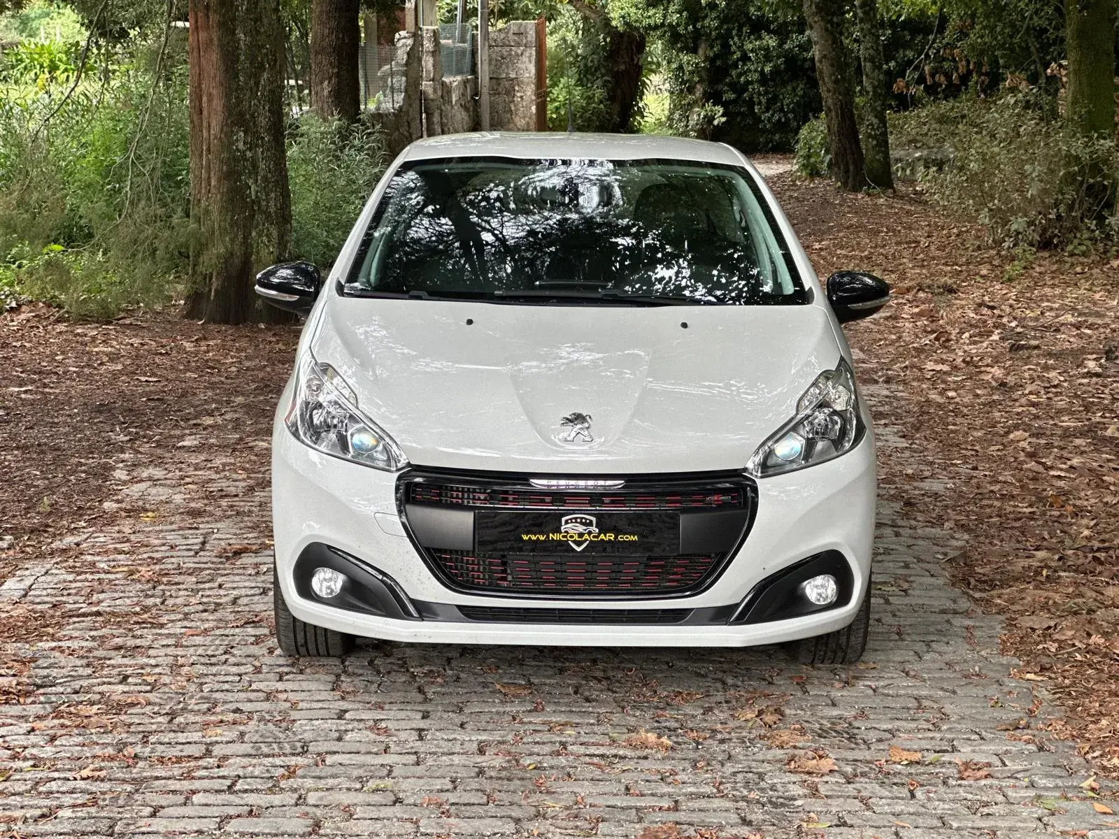 Peugeot 208 1.2 PureTech GT Line 33