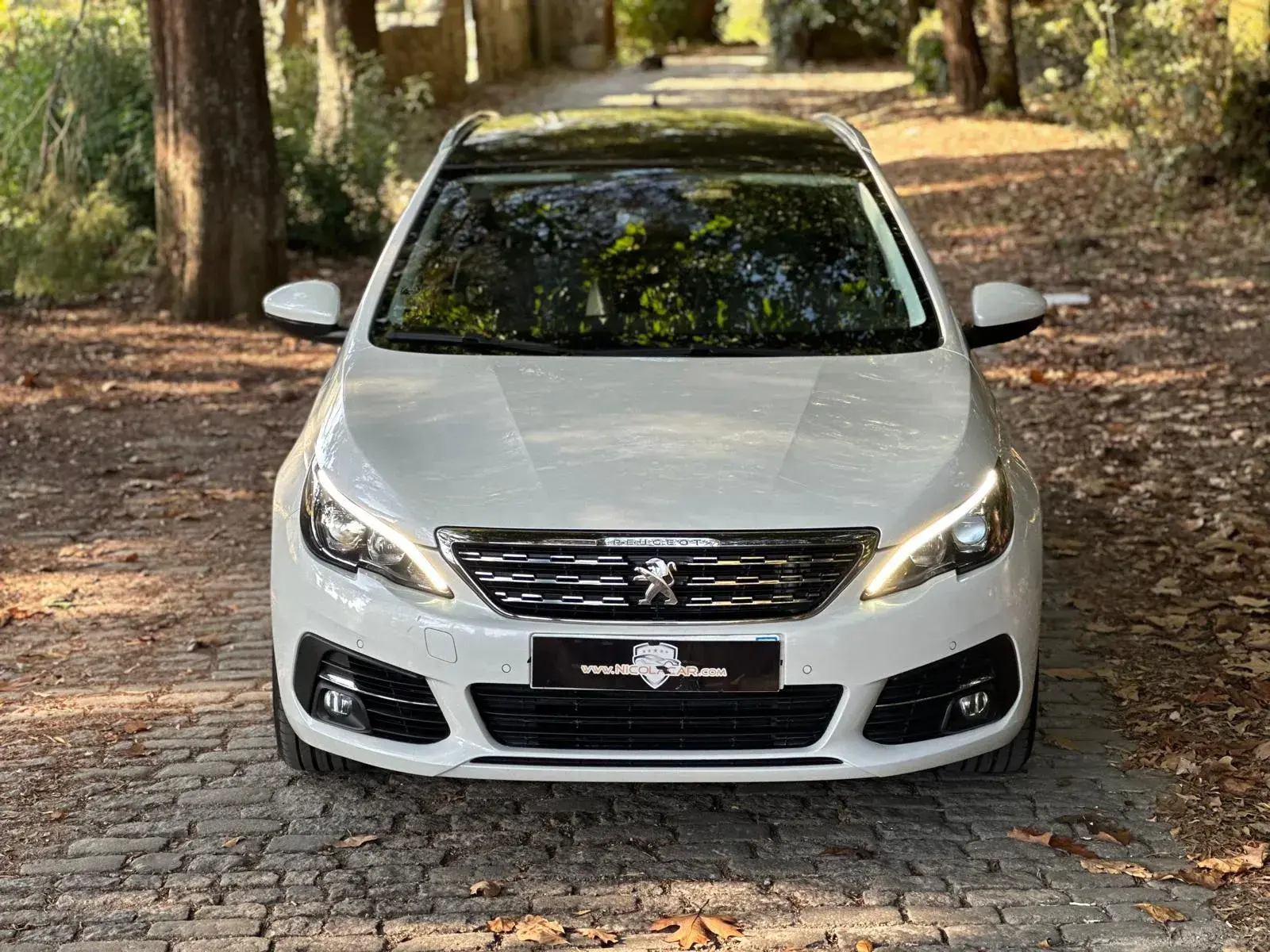 Peugeot 308 1.5 BlueHDi Allure 3