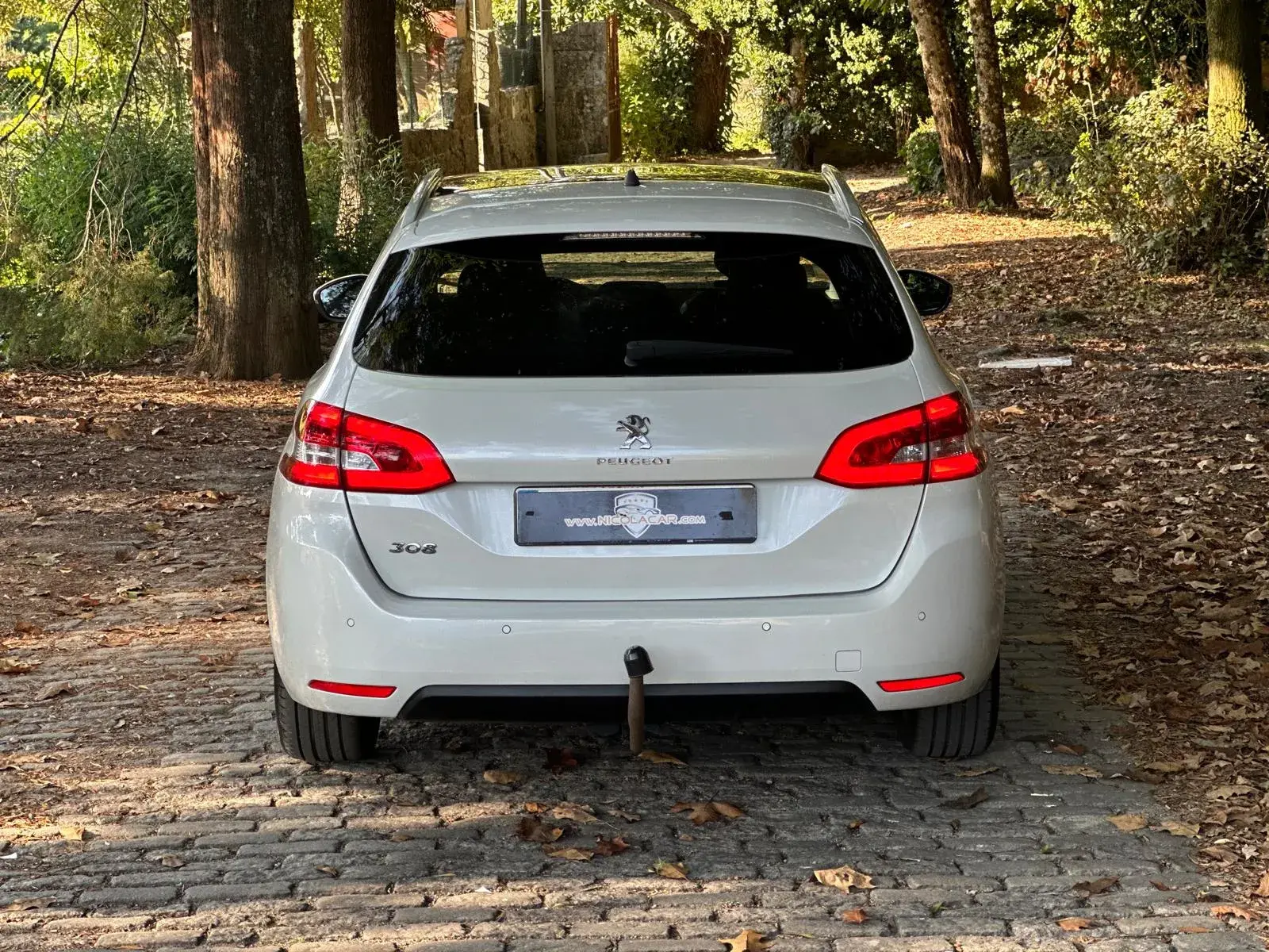 Peugeot 308 1.5 BlueHDi Allure 6