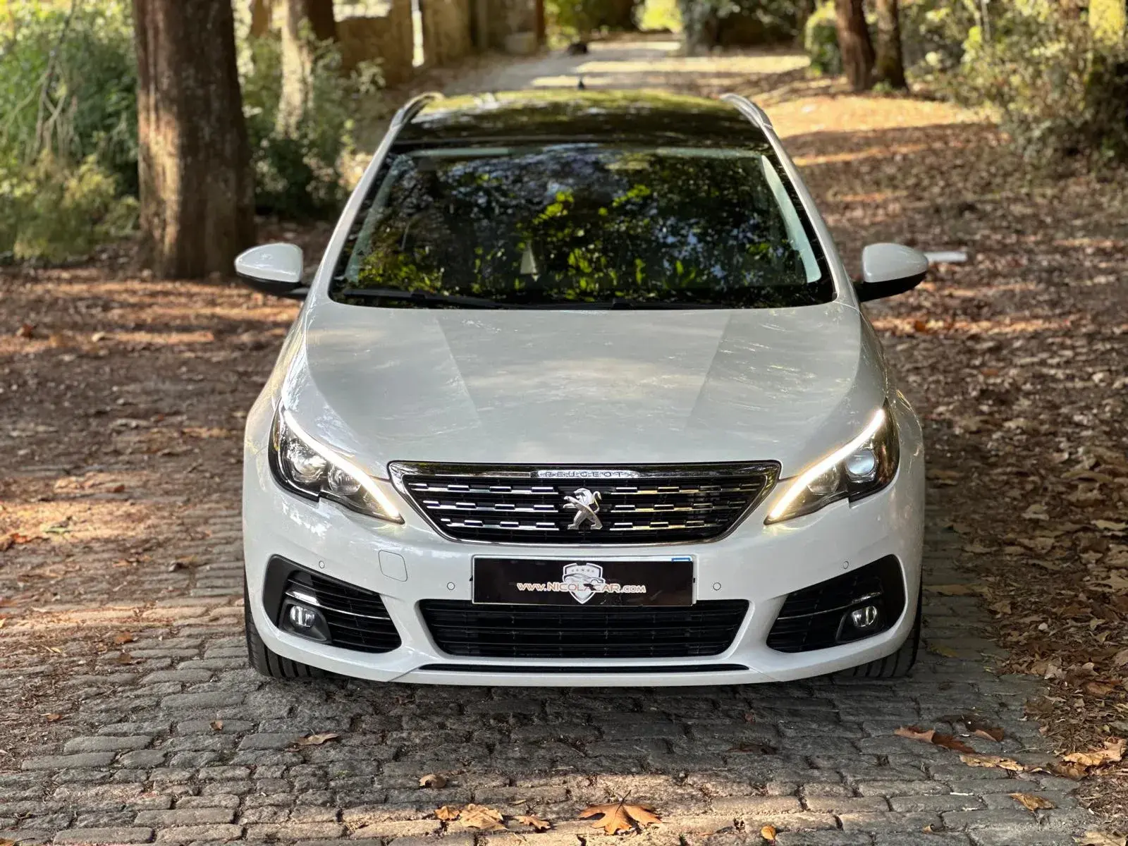 Peugeot 308 1.5 BlueHDi Allure 33