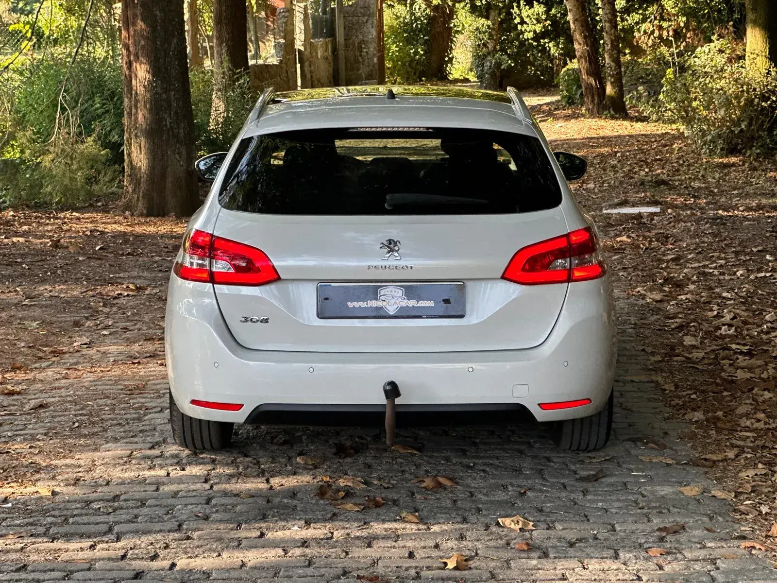 Peugeot 308 1.5 BlueHDi Allure 37