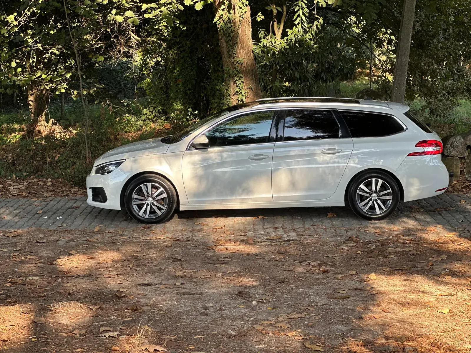 Peugeot 308 1.5 BlueHDi Allure 38