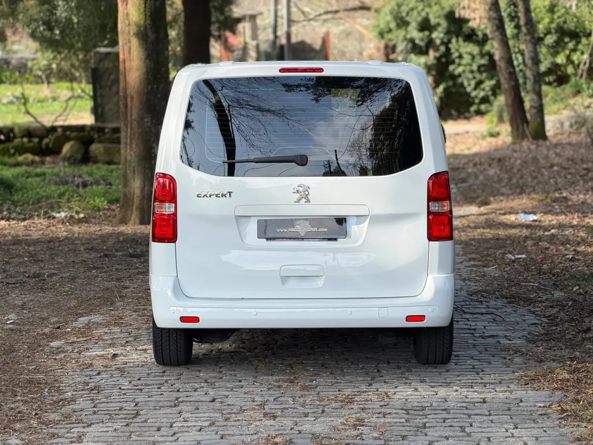 Peugeot Expert 1.5 BlueHDi L2H1 Semi-Vidrado 5