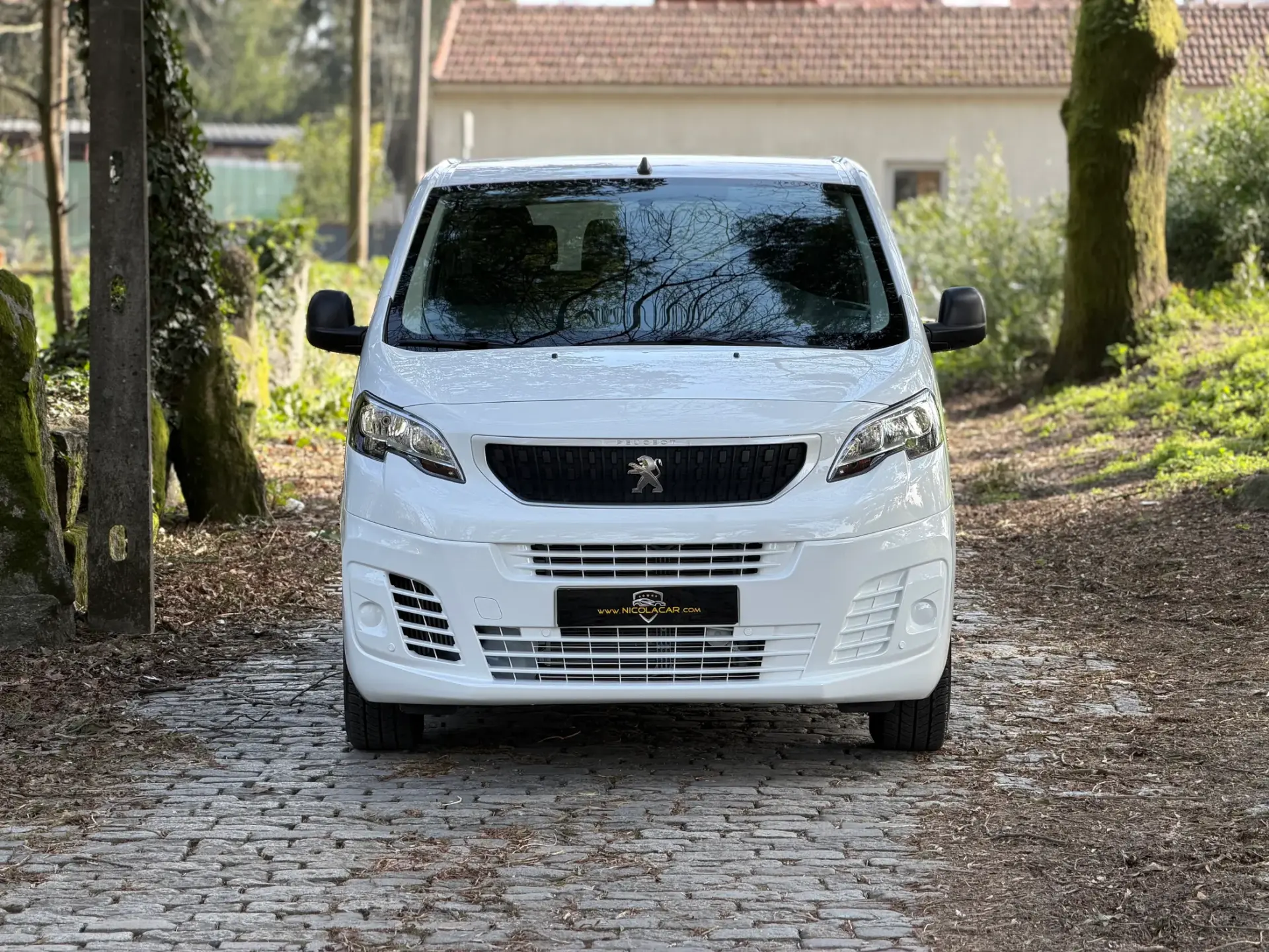 Peugeot Expert 1.5 BlueHDi L2H1 Semi-Vidrado 30