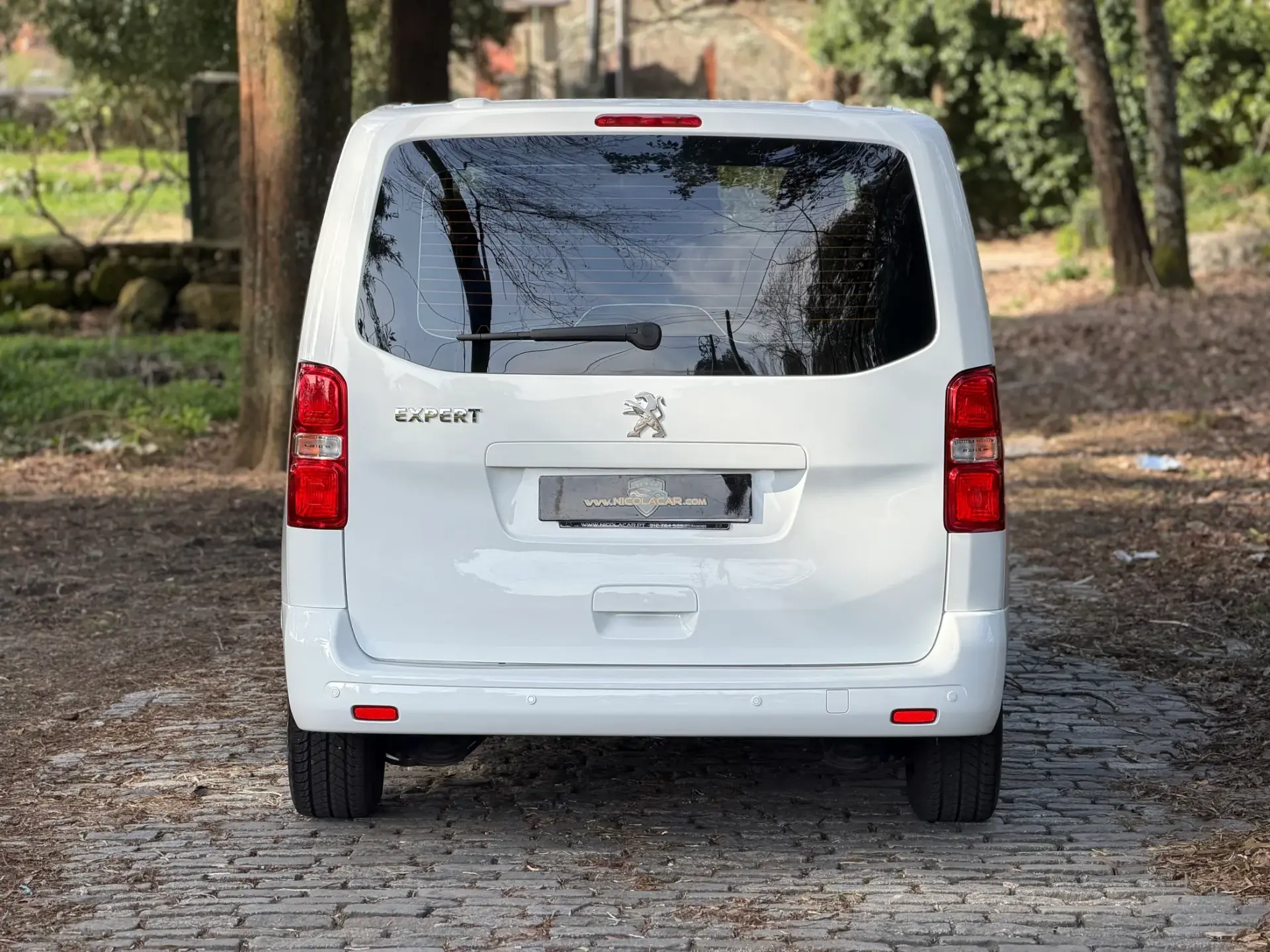 Peugeot Expert 1.5 BlueHDi L2H1 Semi-Vidrado 31