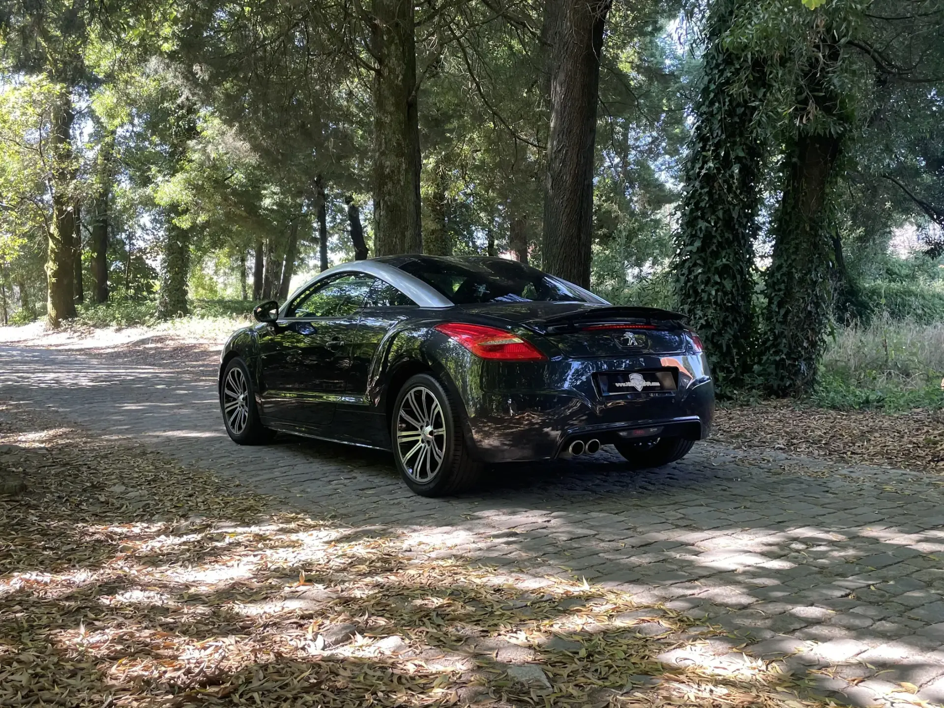 Peugeot RCZ 1.6 THP Onyx 5