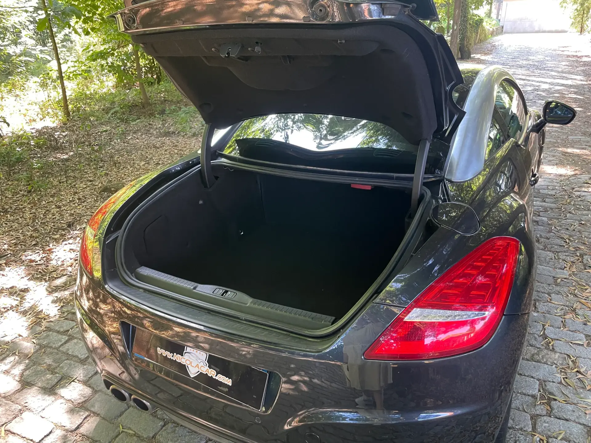 Peugeot RCZ 1.6 THP Onyx 19