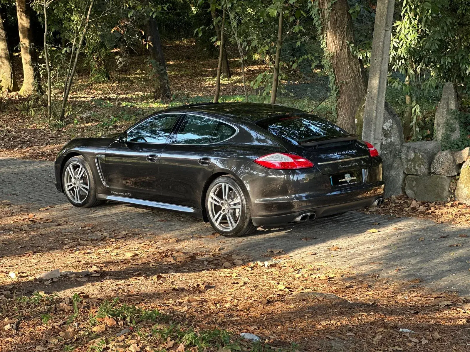 Porsche Panamera S PDK 44
