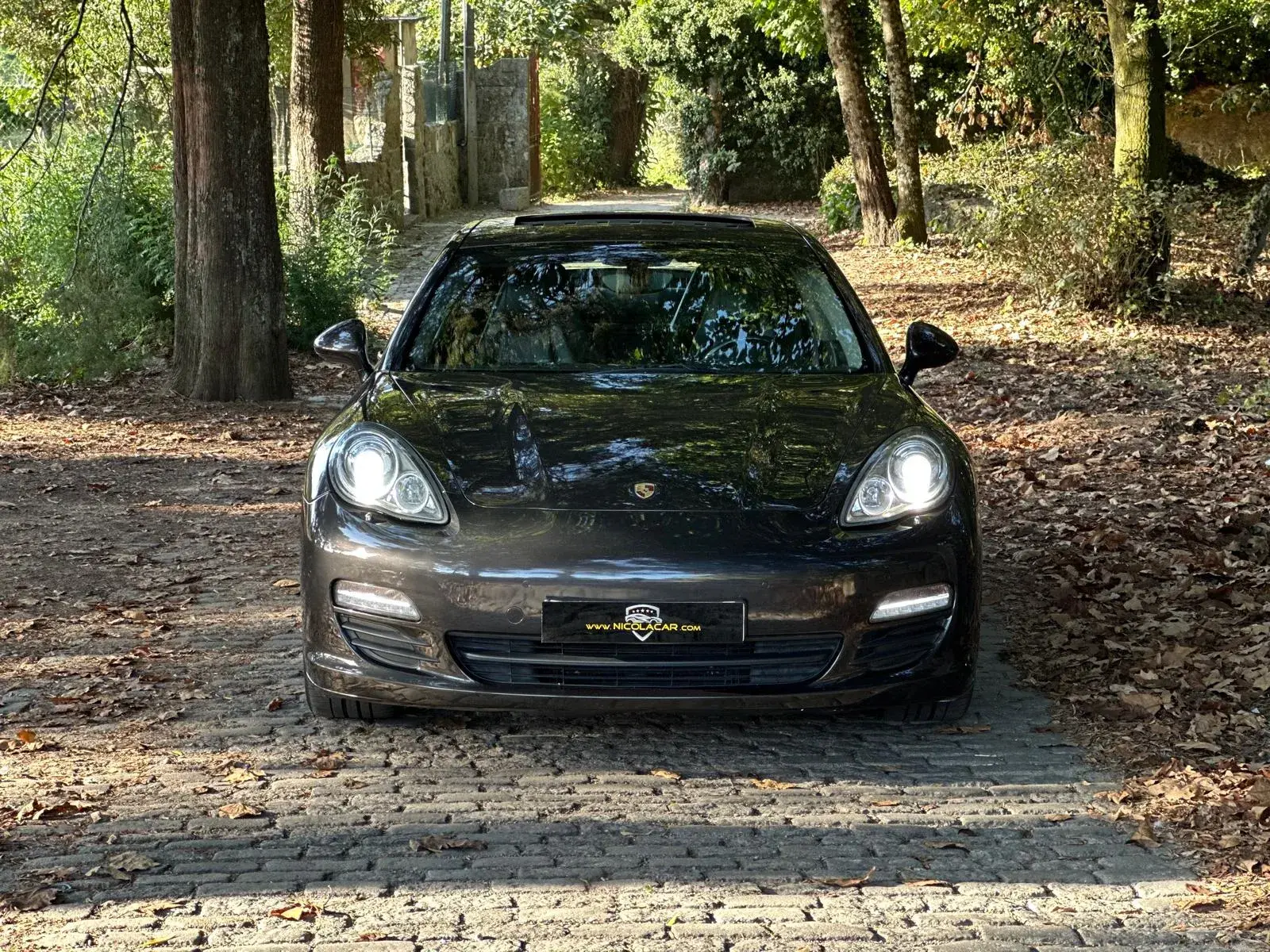 Porsche Panamera S PDK 45
