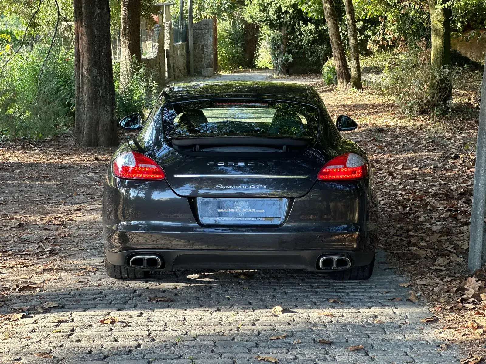 Porsche Panamera S PDK 46