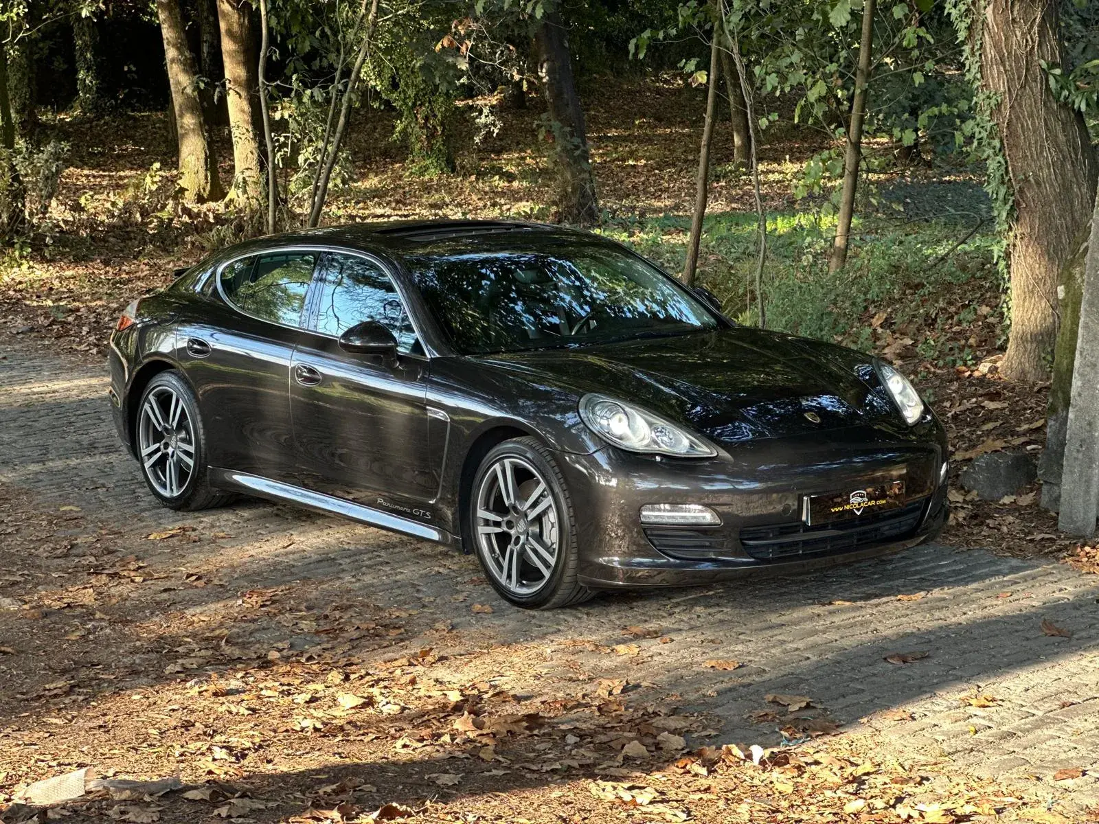 Porsche Panamera S PDK 48