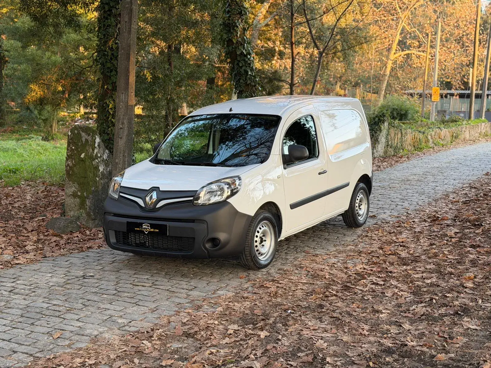 Renault Kangoo 1.5 Blue dCi Authentic 8