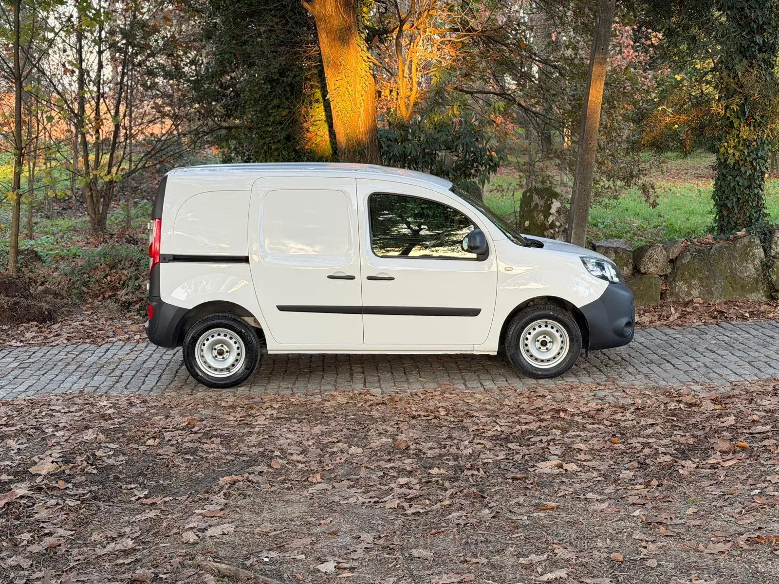 Renault Kangoo 1.5 Blue dCi Authentic 7
