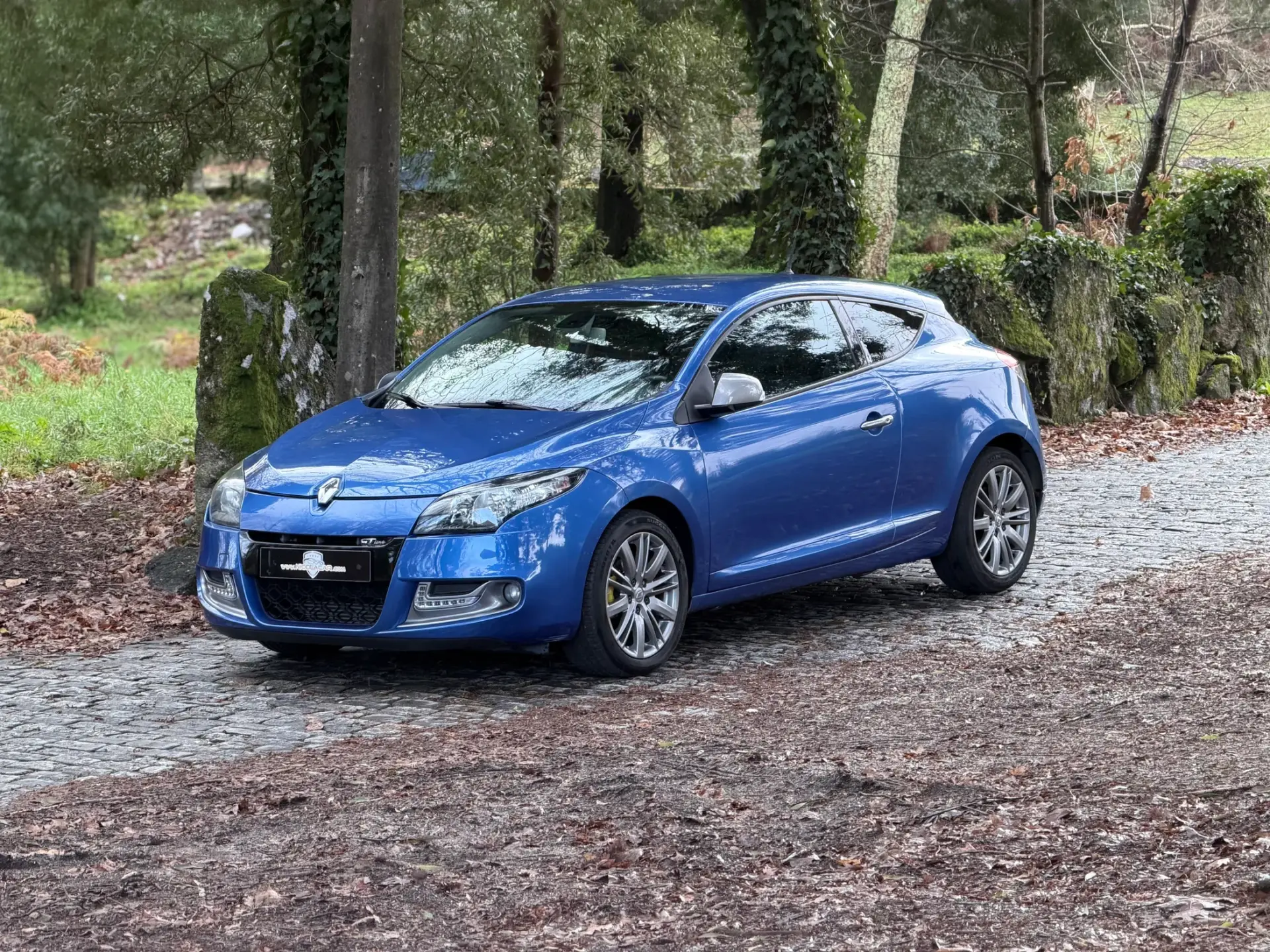 Renault Mégane Coupe 1.5 dCi GT Line 4