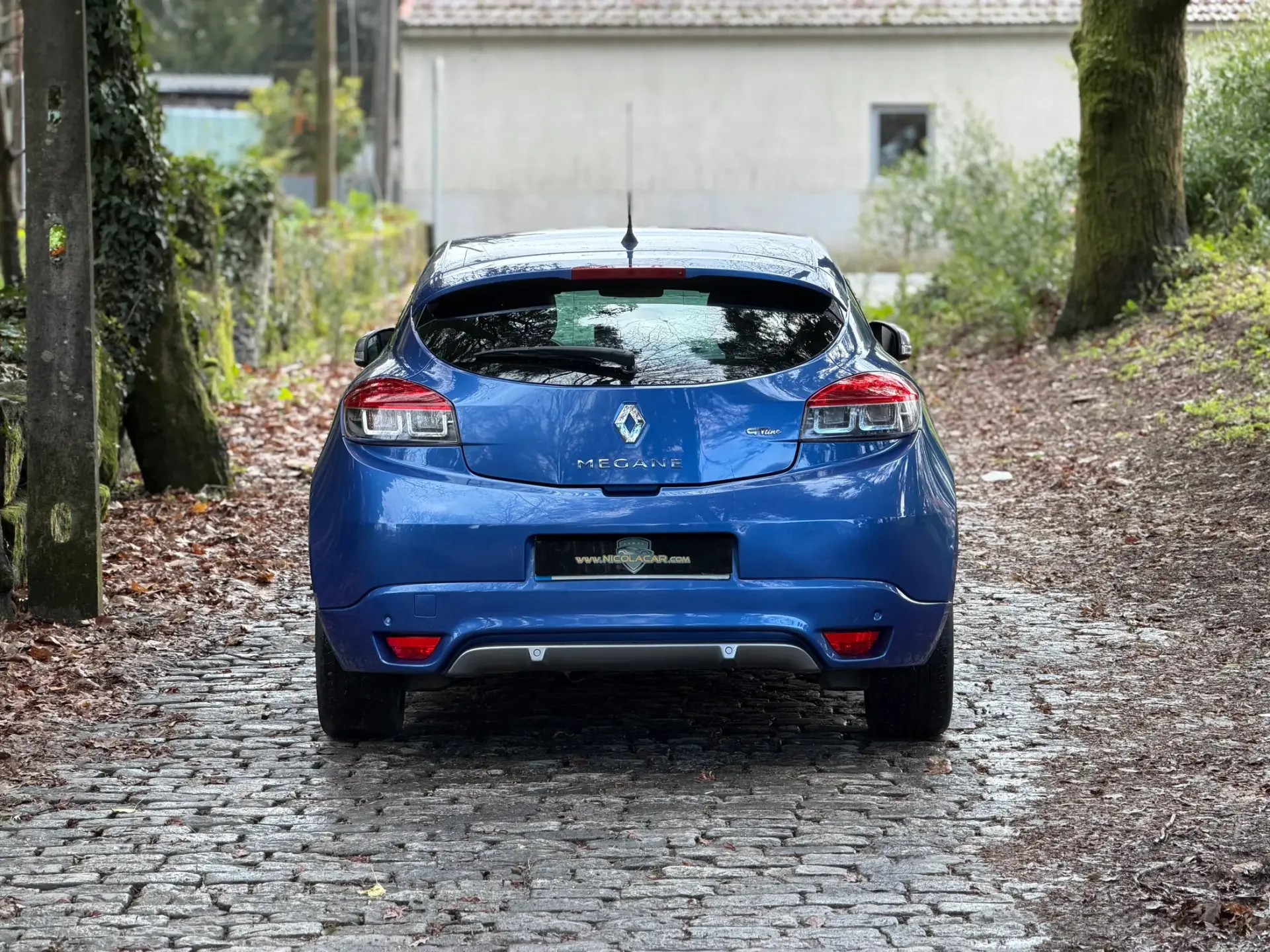 Renault Mégane Coupe 1.5 dCi GT Line 5