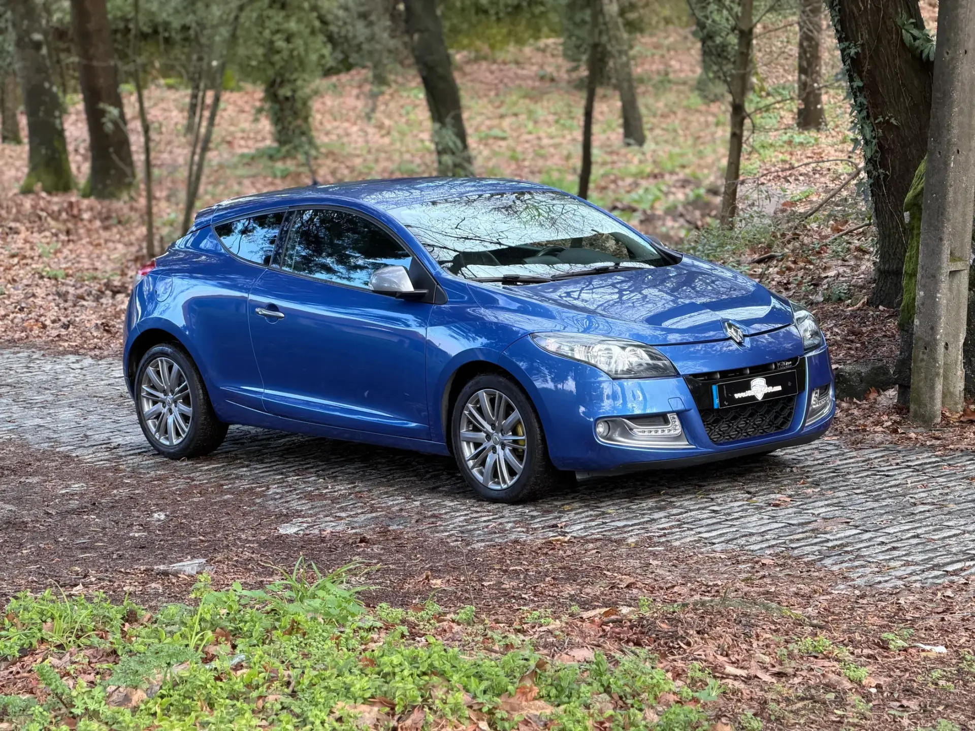 Renault Mégane Coupe 1.5 dCi GT Line 27