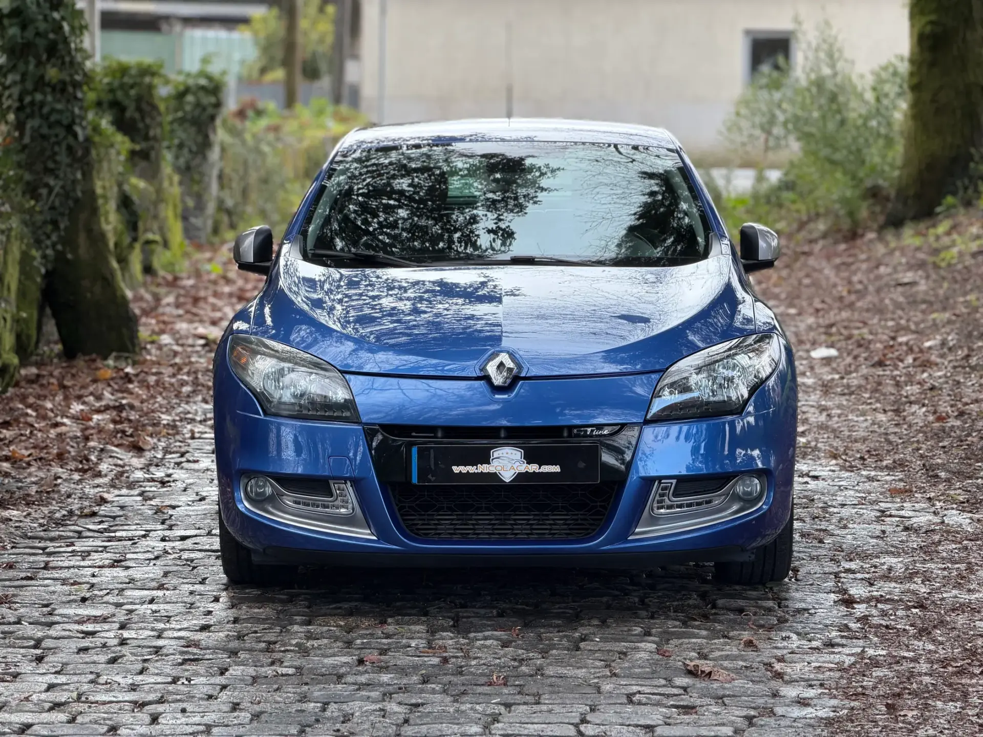 Renault Mégane Coupe 1.5 dCi GT Line 41