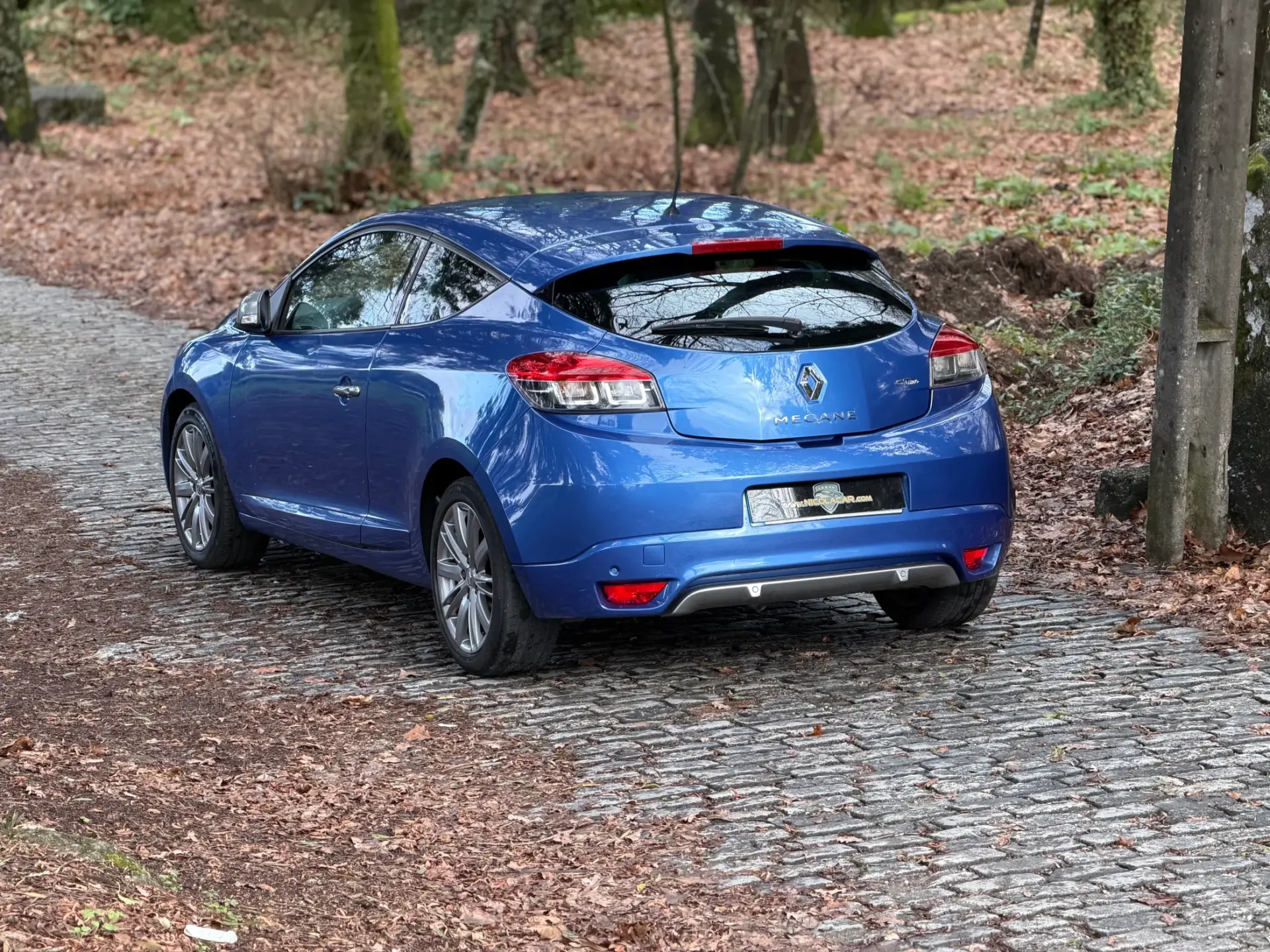 Renault Mégane Coupe 1.5 dCi GT Line 45