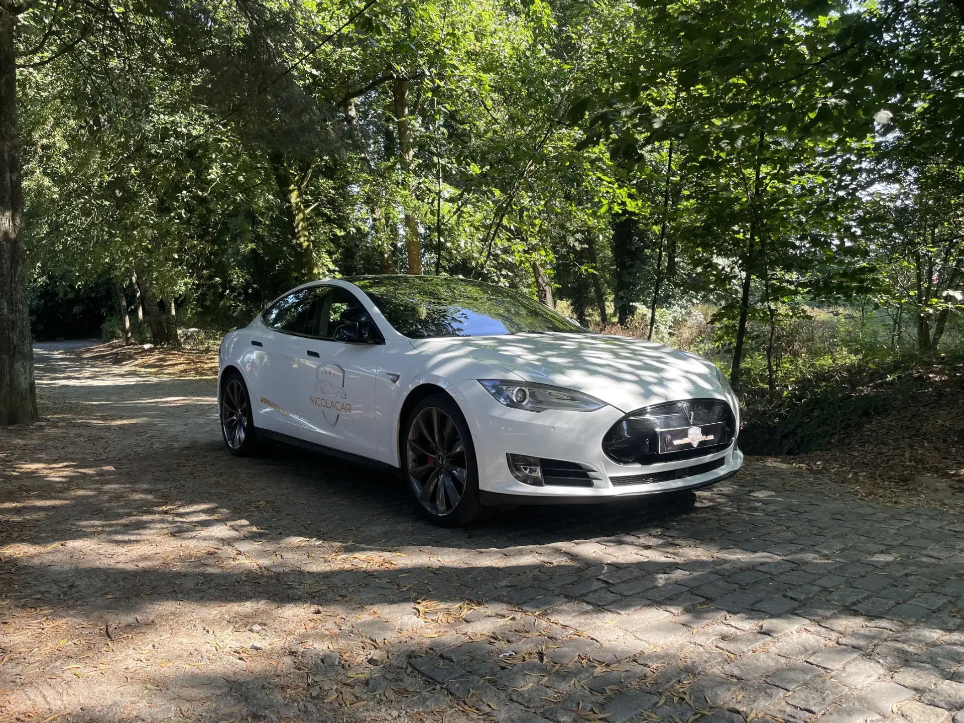 Tesla Model S 90D 2