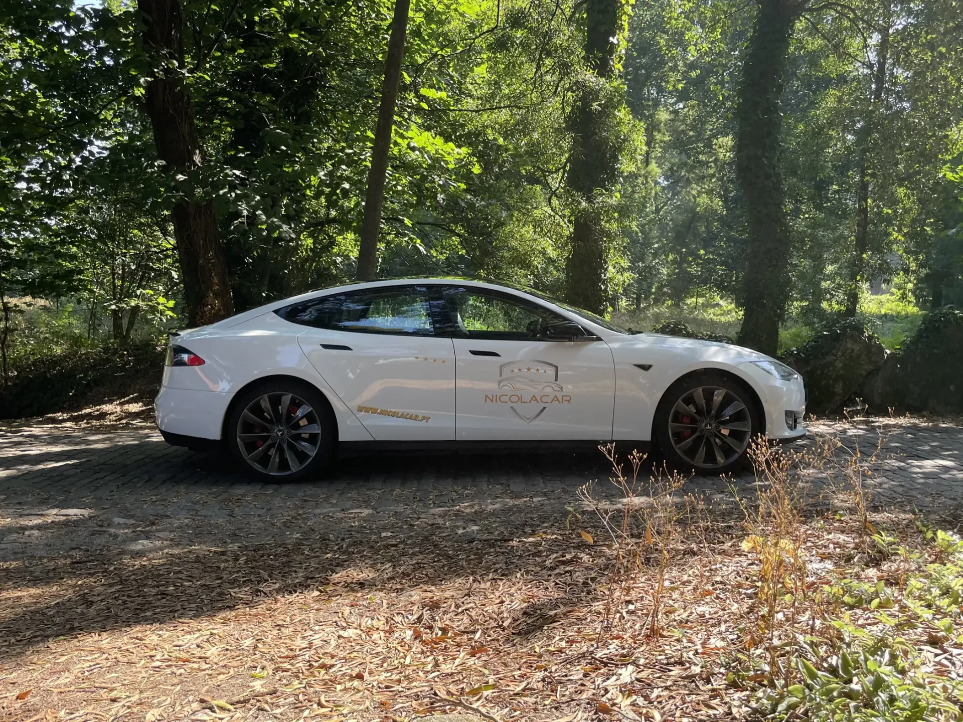 Tesla Model S 90D 9