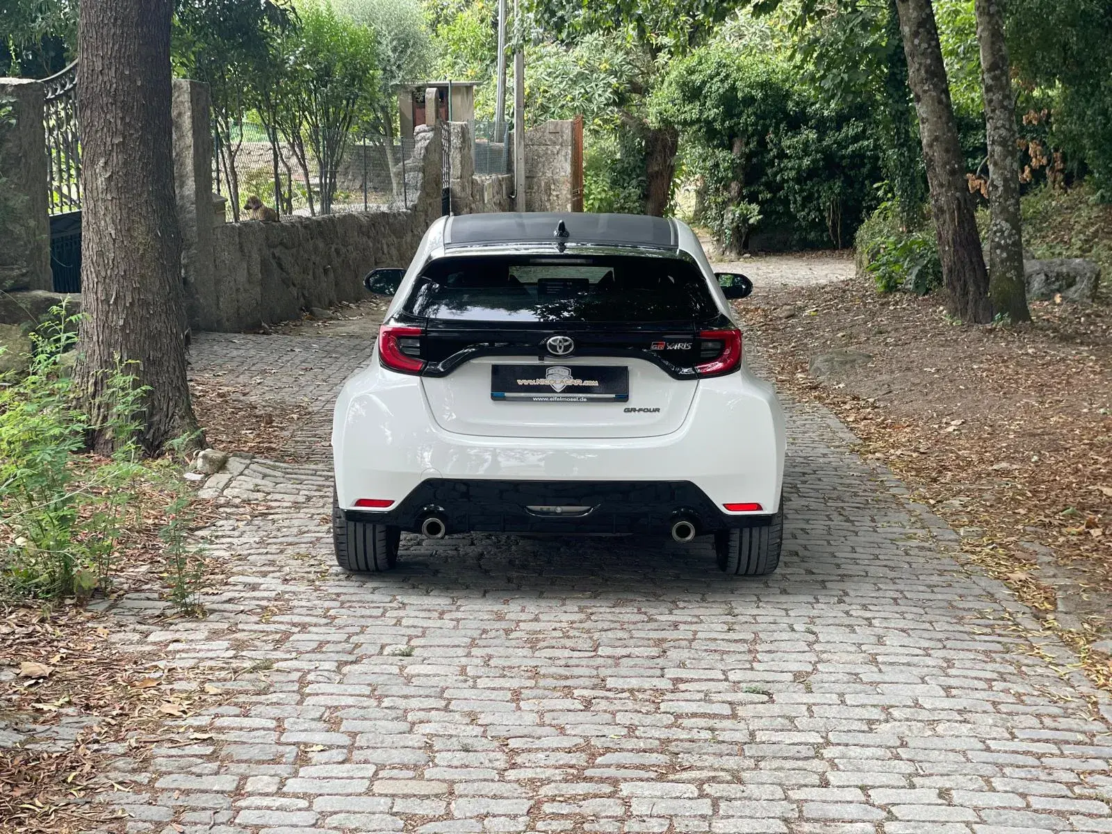 Toyota GR Yaris c/ High-Performance-Pack 6