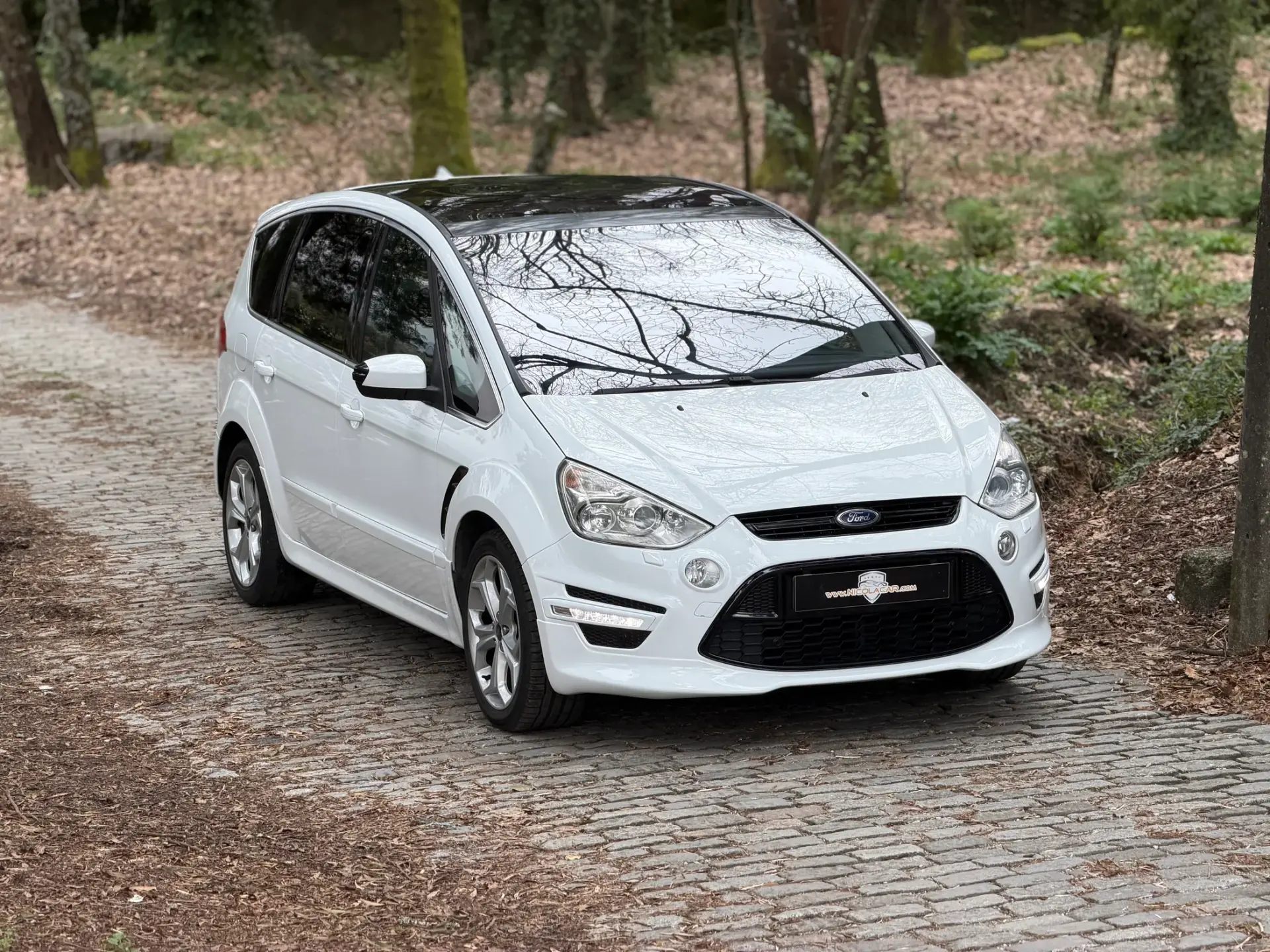 Ford S-Max 2.0 TDCi Titanium 7L 1