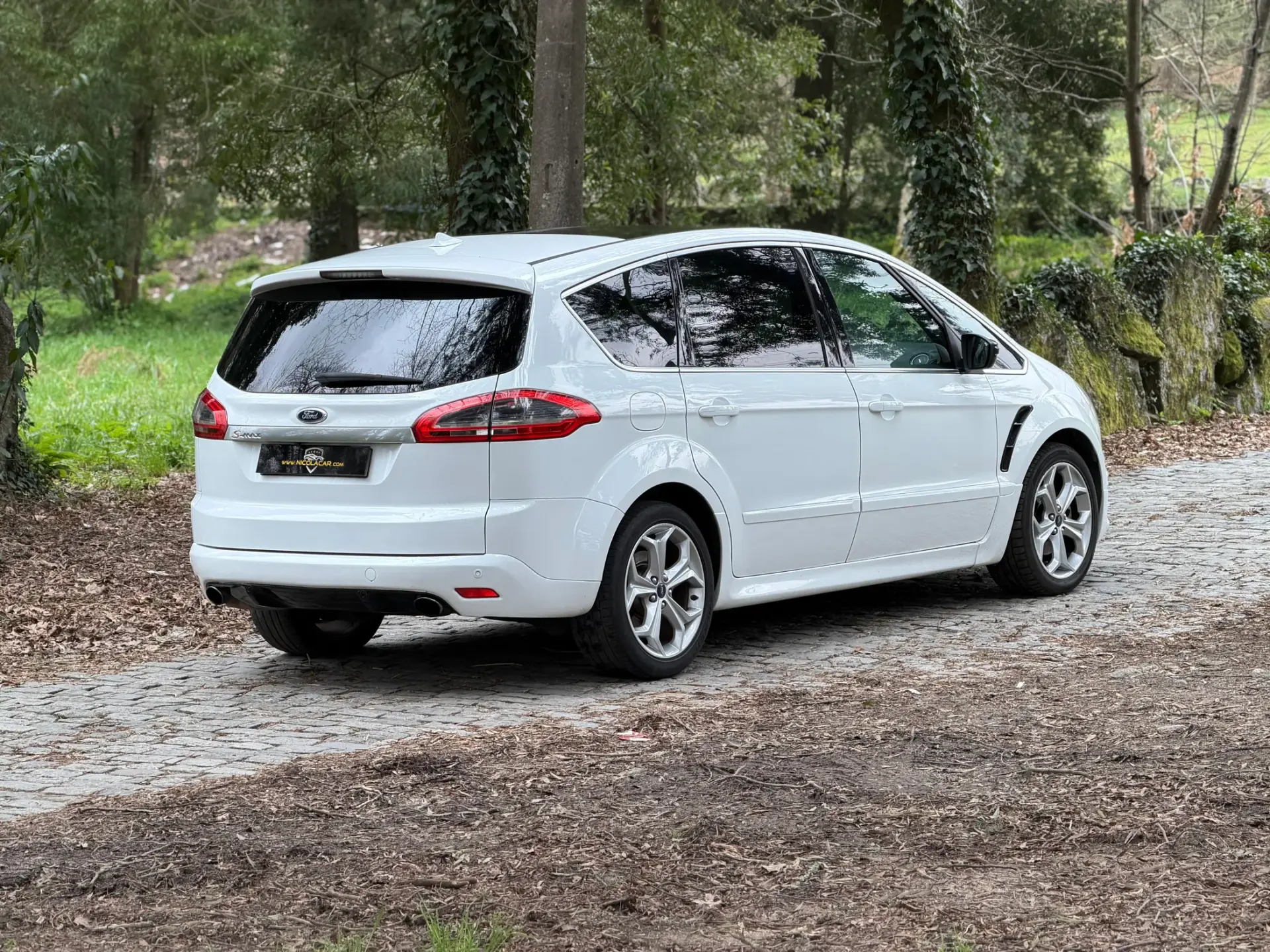 Ford S-Max 2.0 TDCi Titanium 7L 6