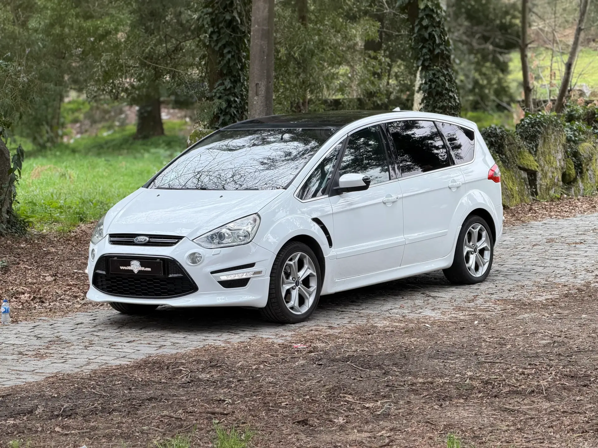 Ford S-Max 2.0 TDCi Titanium 7L 33