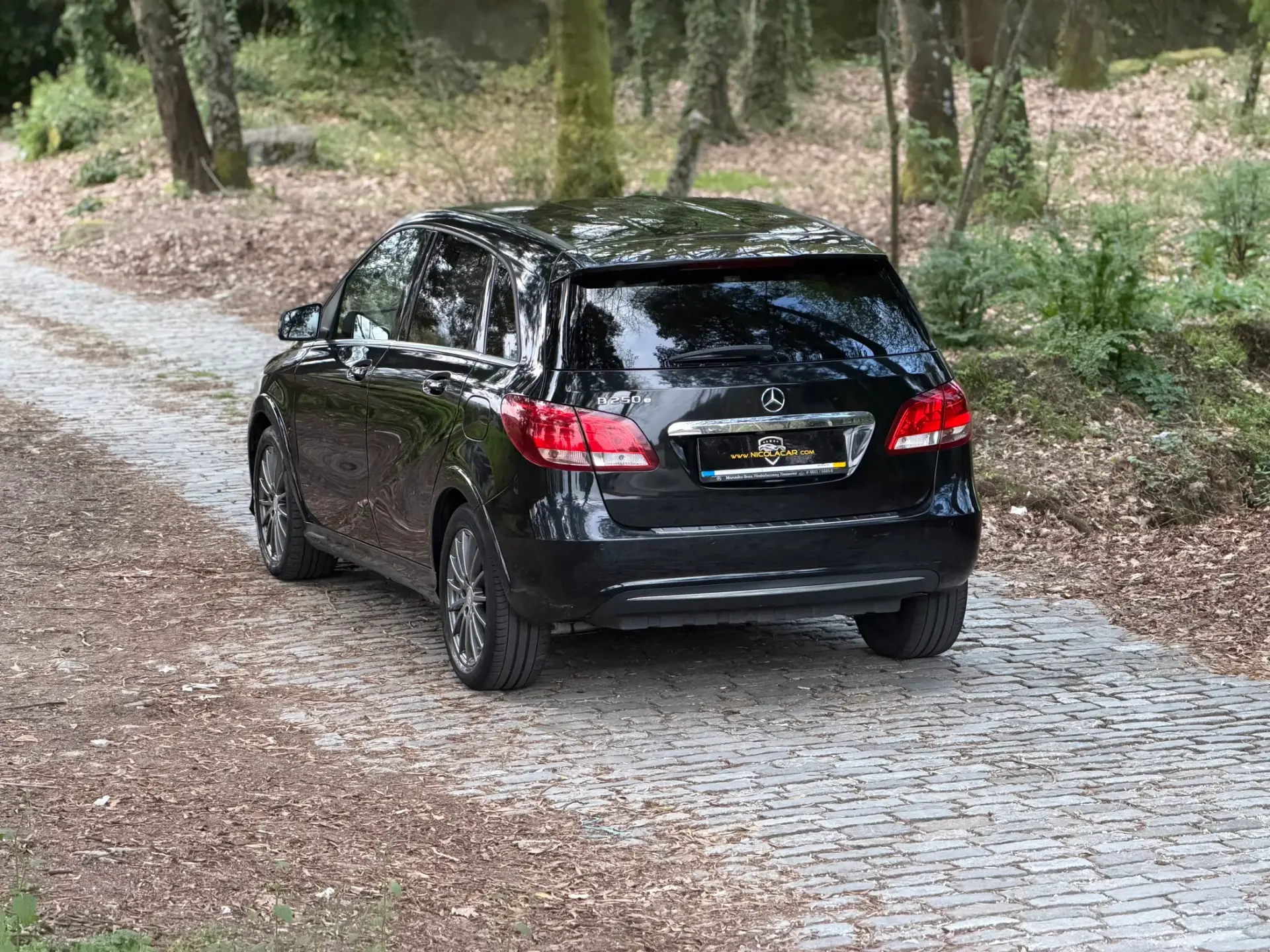 Mercedes-Benz B 250 e Electric Drive 6