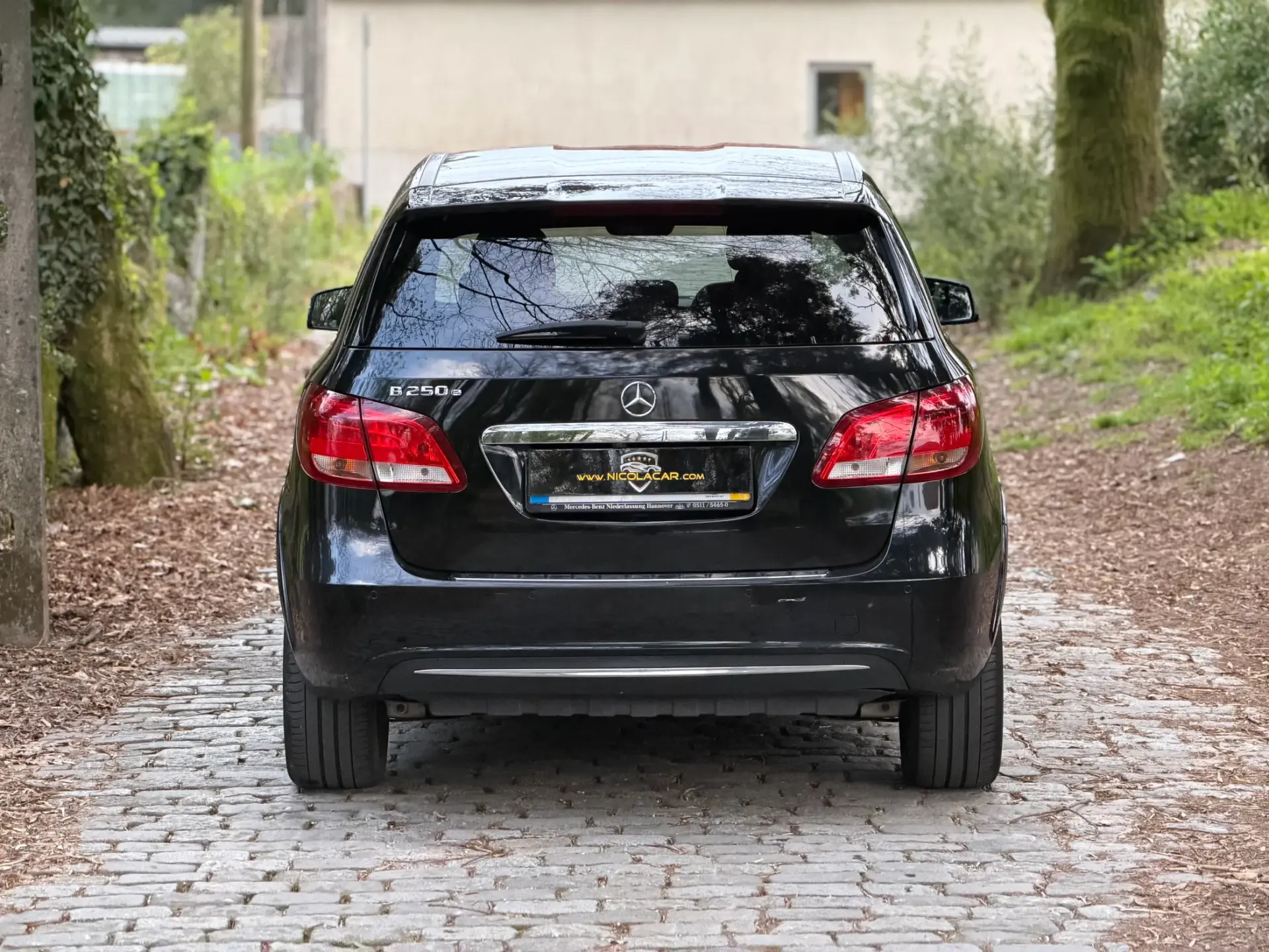 Mercedes-Benz B 250 e Electric Drive 5