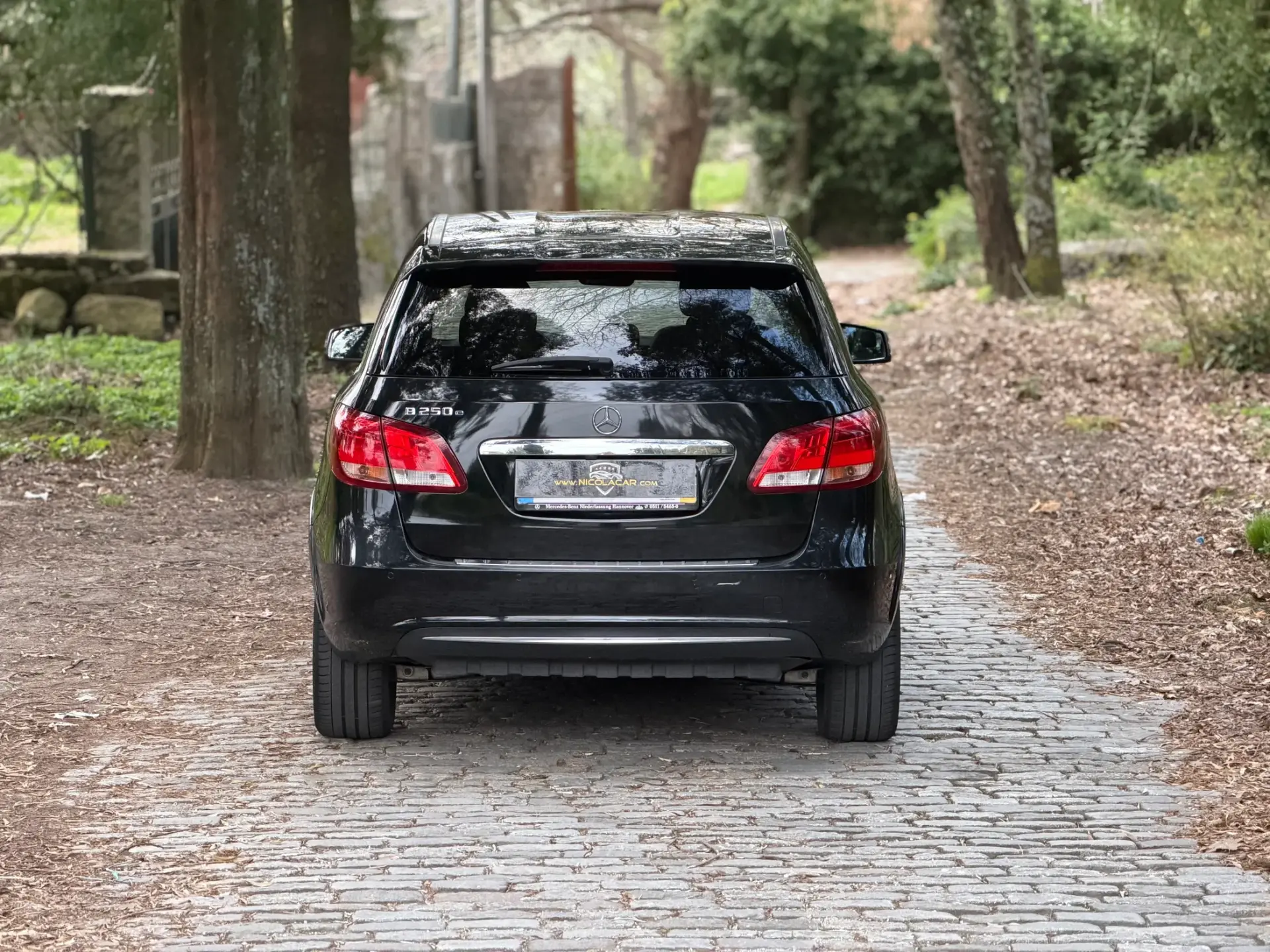 Mercedes-Benz B 250 e Electric Drive 30