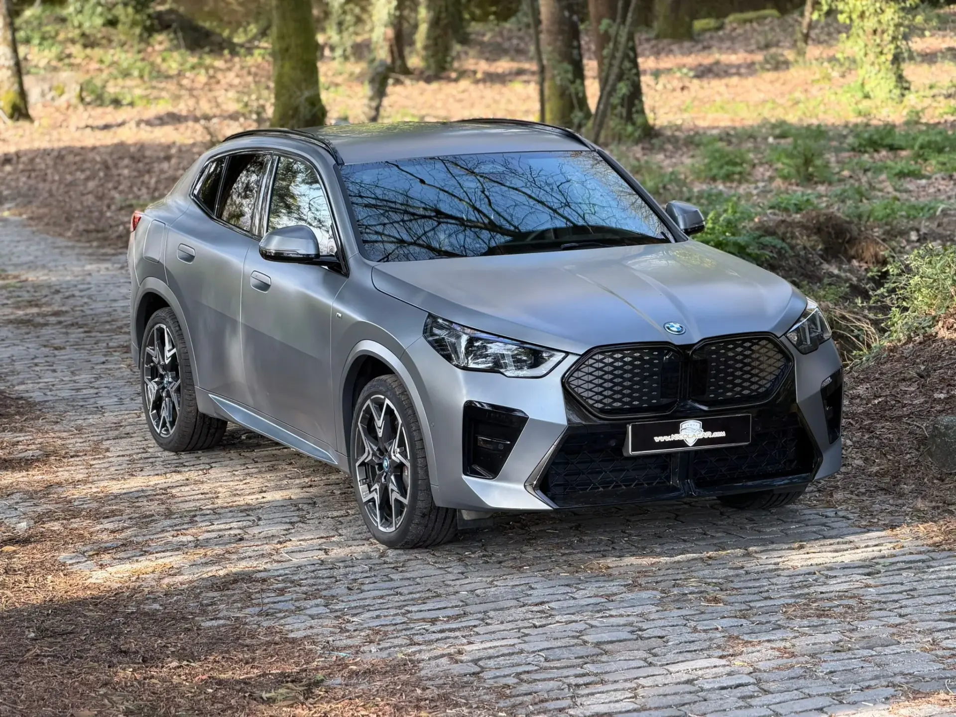 BMW iX2 xDrive30 Pack Desportivo M Pro 1