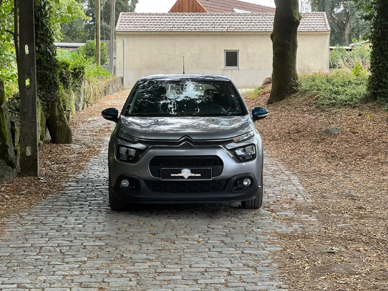Citroen C3 1.2 PureTech YOU! 3