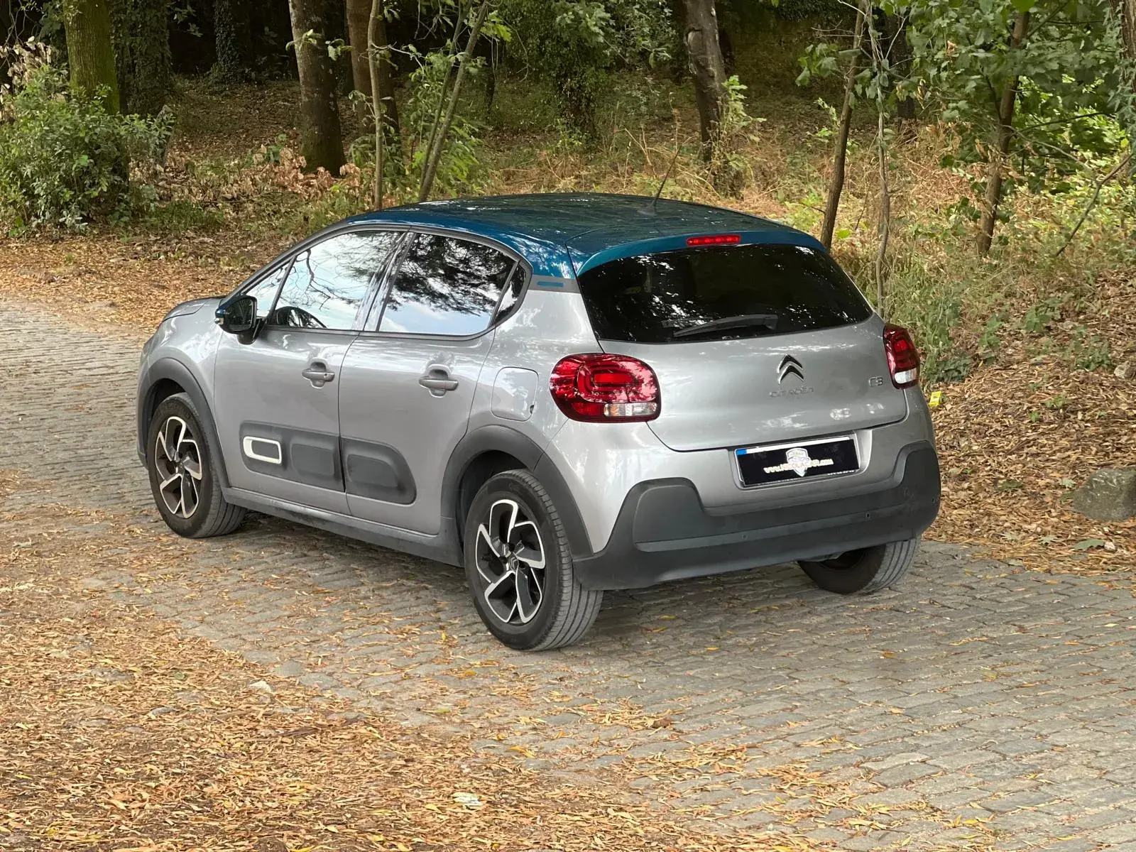 Citroen C3 1.2 PureTech YOU! 33
