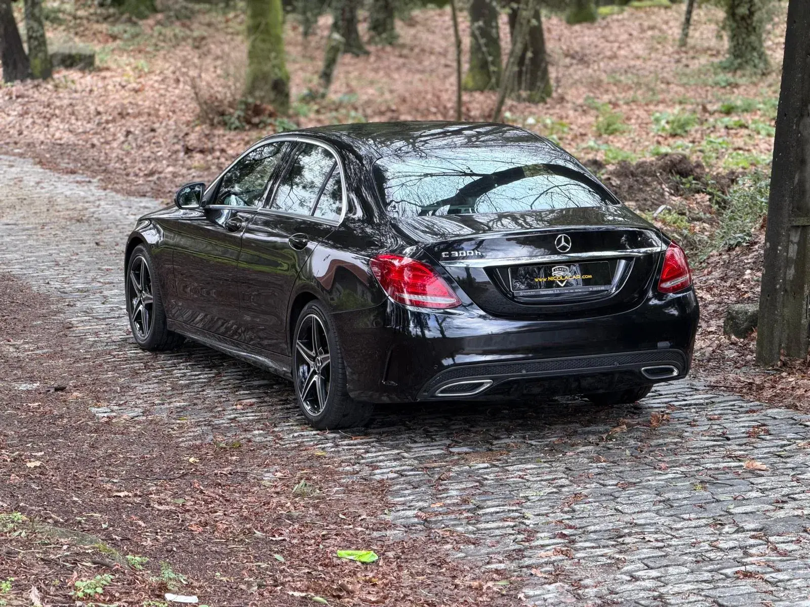 Mercedes-Benz C 300 h AMG Line 6