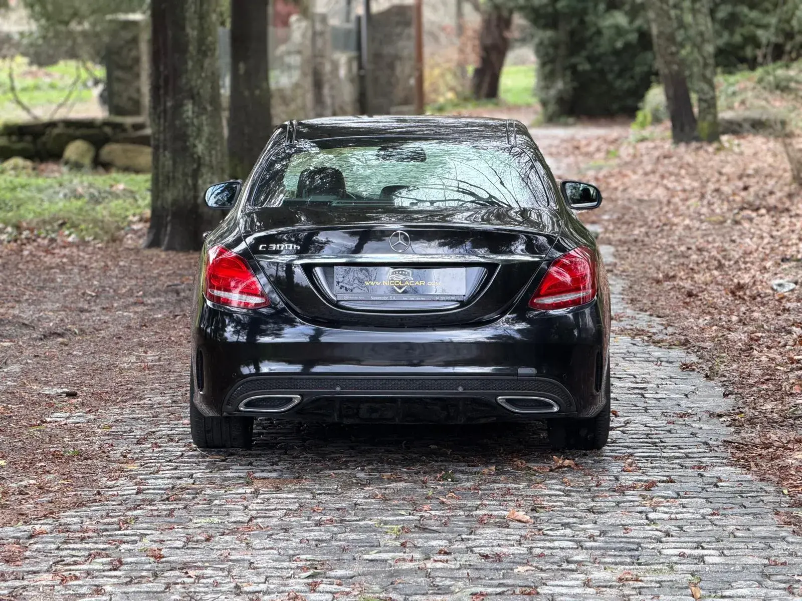 Mercedes-Benz C 300 h AMG Line 5