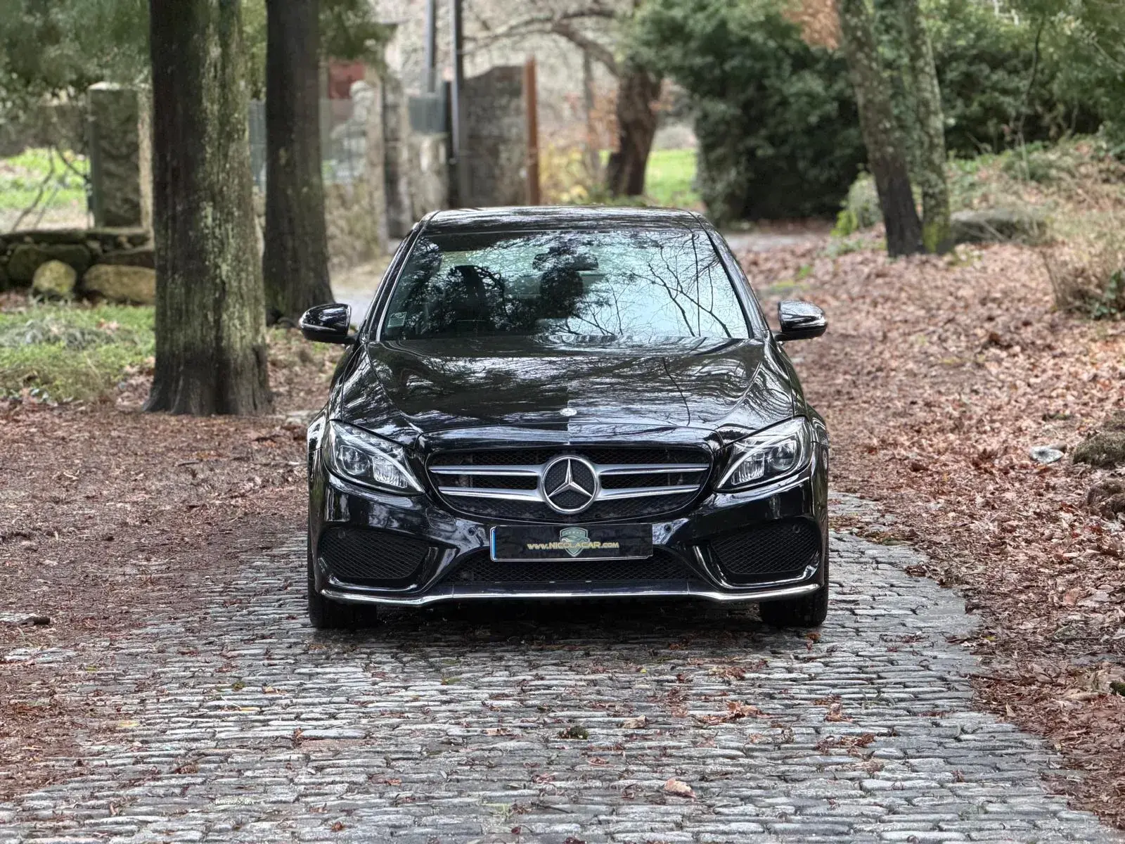 Mercedes-Benz C 300 h AMG Line 33
