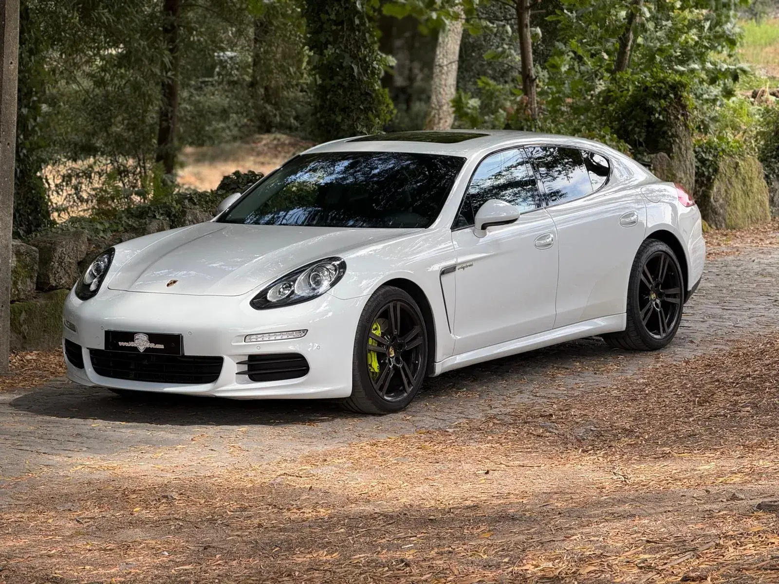 Porsche Panamera S E-Hybrid 4