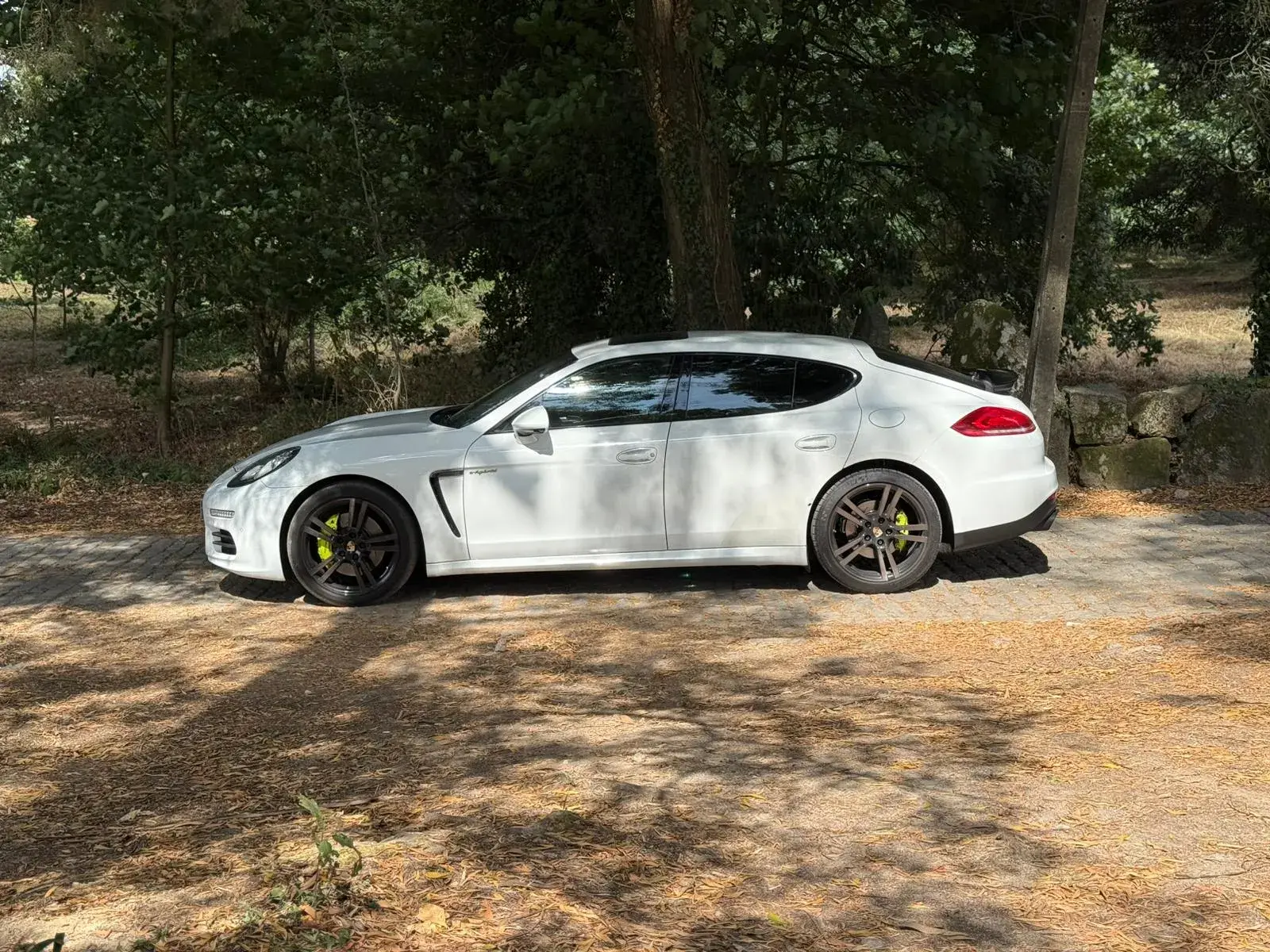 Porsche Panamera S E-Hybrid 10