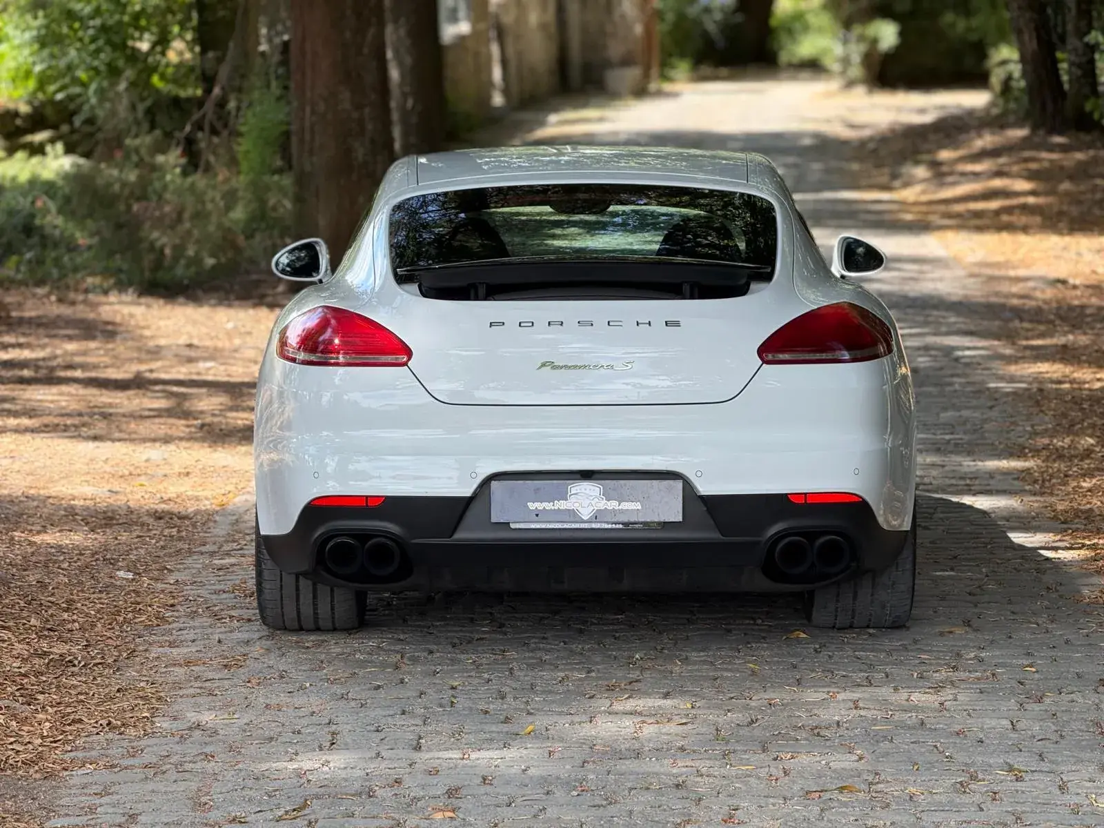 Porsche Panamera S E-Hybrid 41