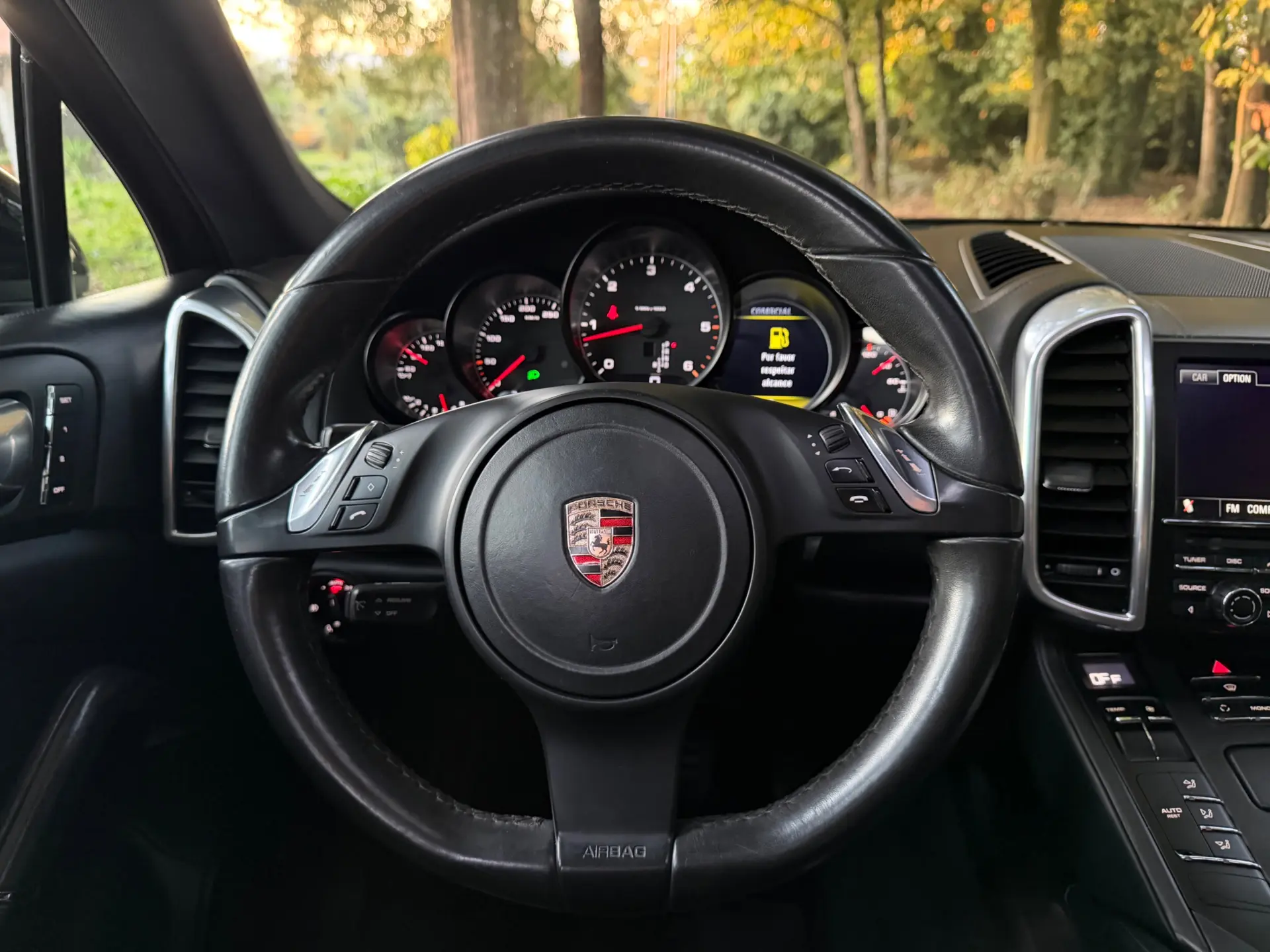 Porsche Cayenne Platinum Edition 14