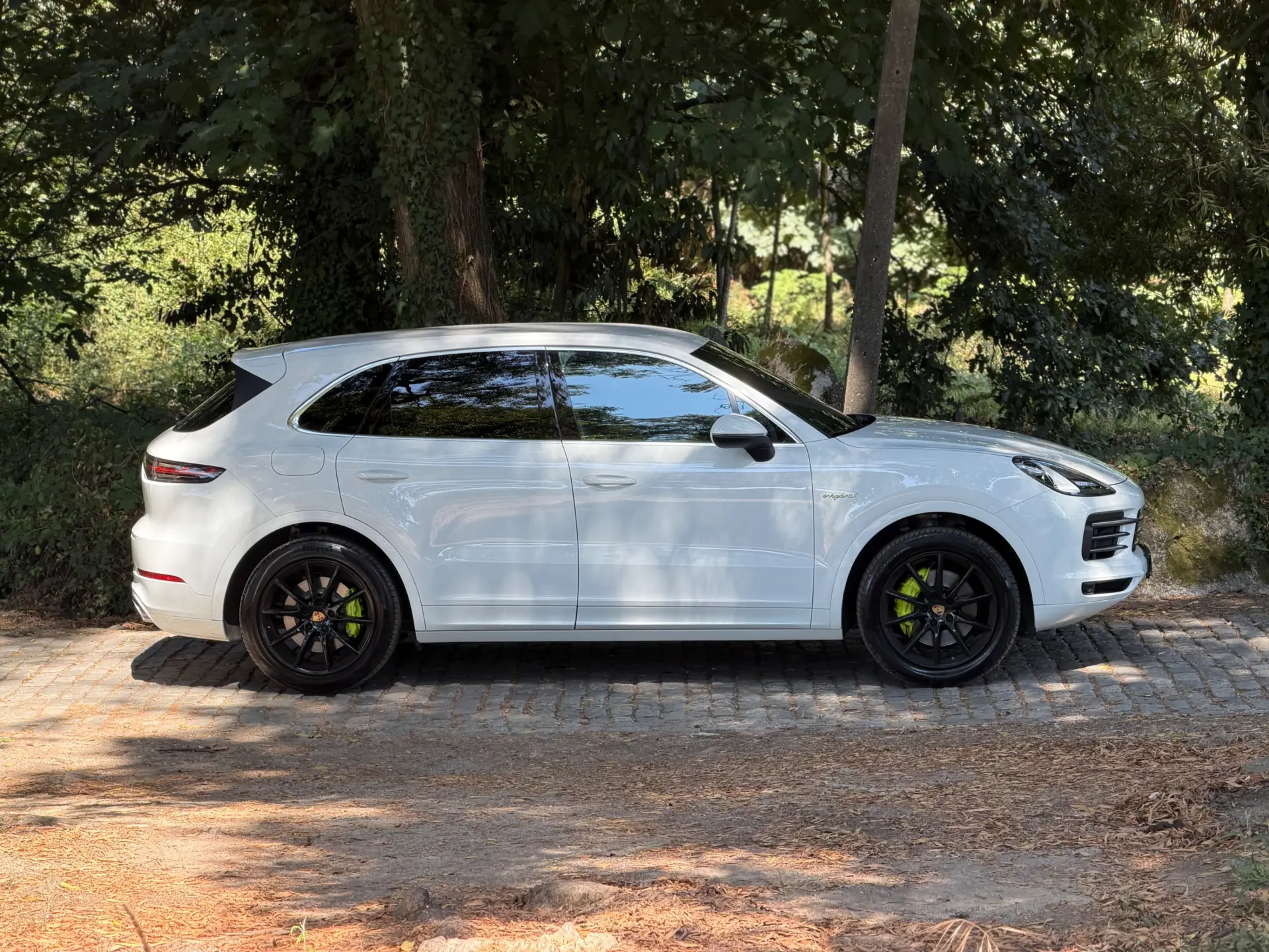Porsche Cayenne E-Hybrid 8