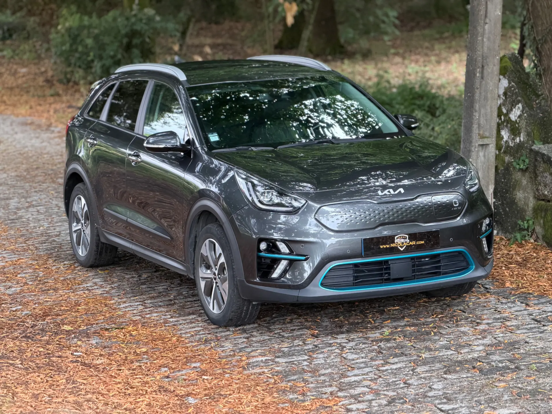 Kia e-Niro 64kWh 29