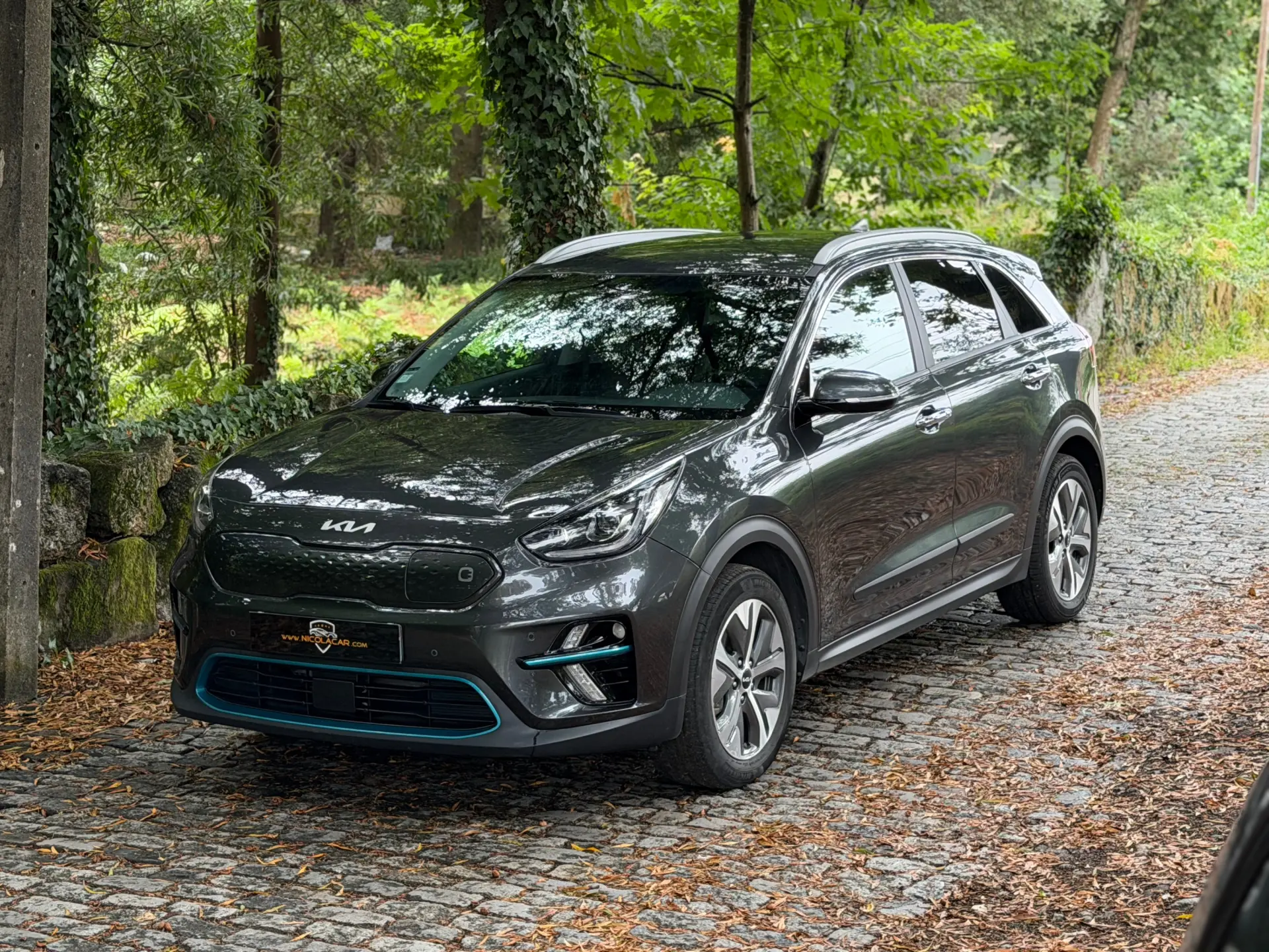 Kia e-Niro 64kWh 4