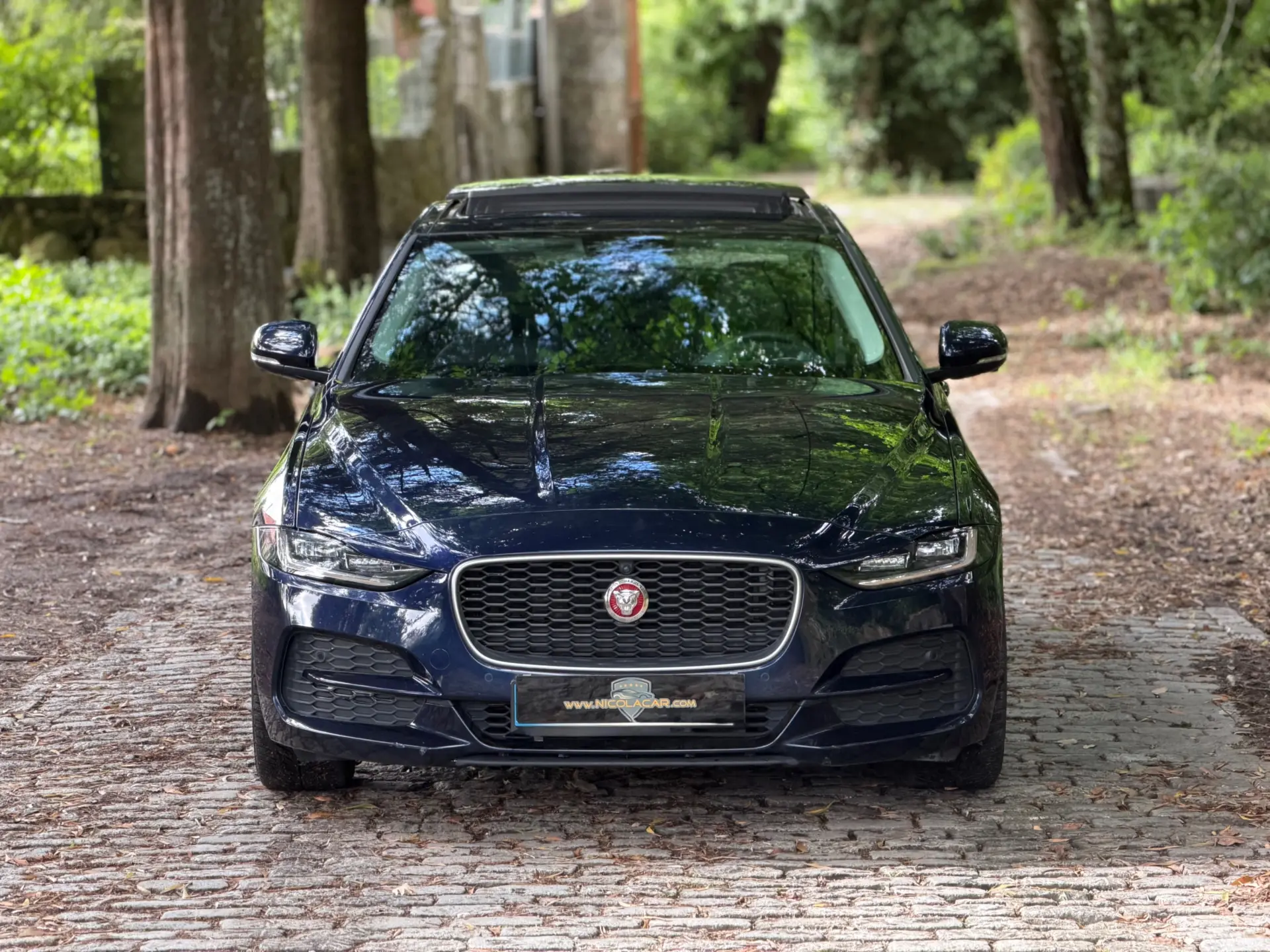 Jaguar XE 2.0 D R-Dynamic S 3