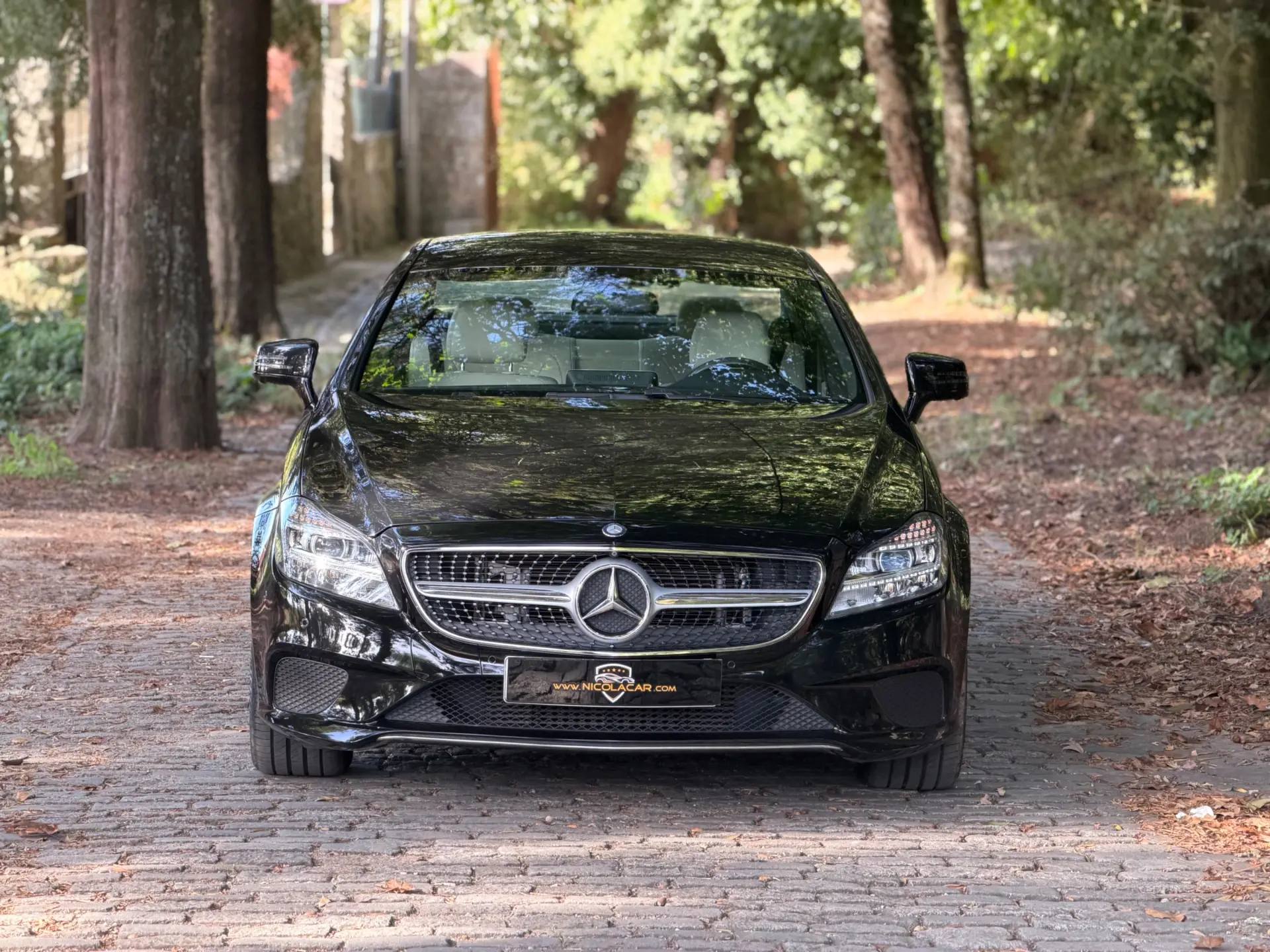 Mercedes-Benz CLS 250 CDi BlueEfficiency 58
