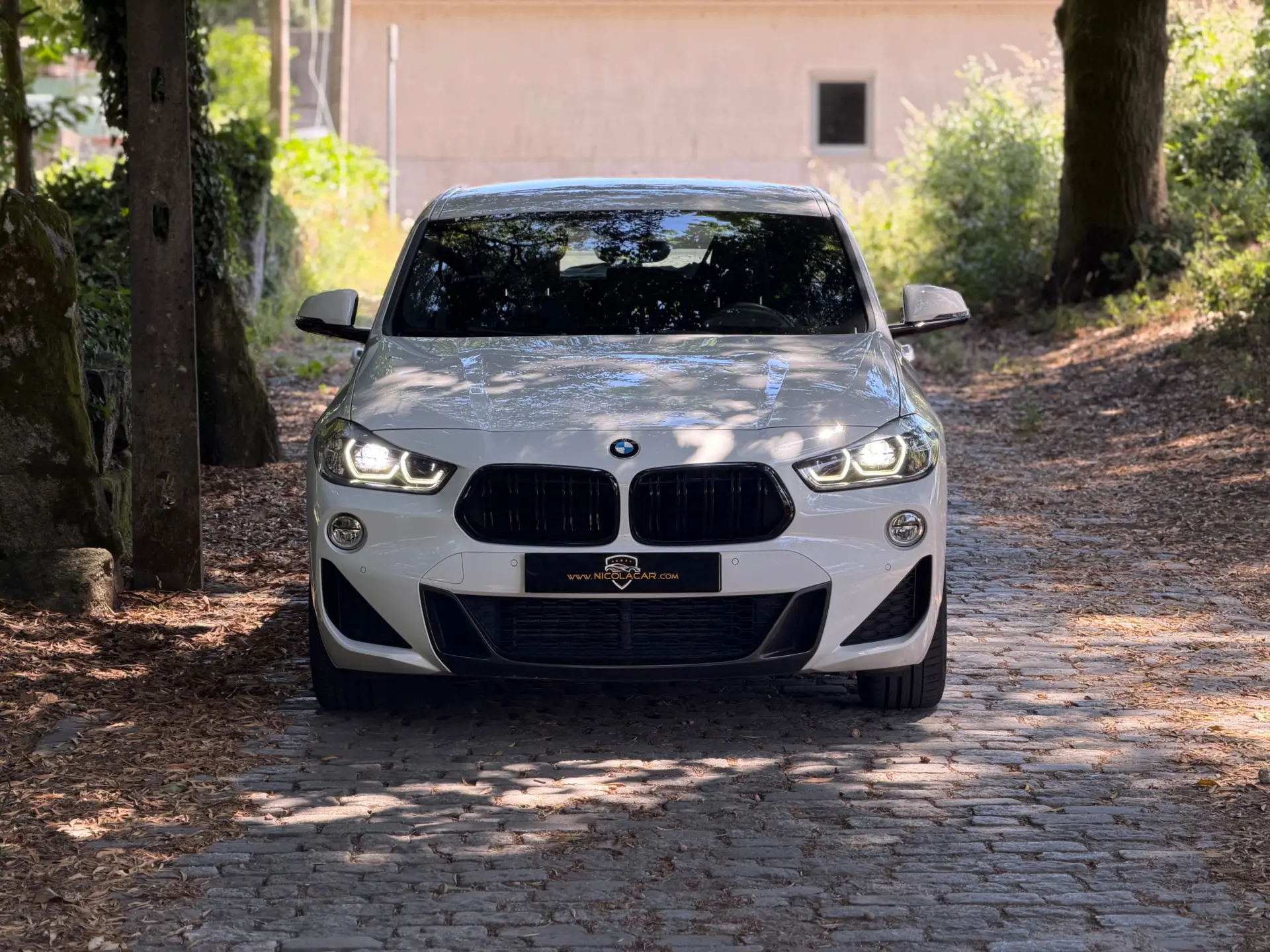 BMW X2 16 d sDrive Auto X Pack M 43