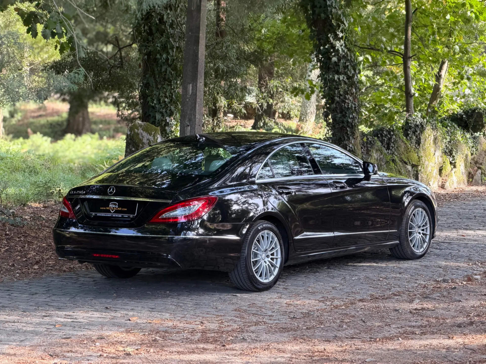Mercedes-Benz CLS 250 CDi BlueEfficiency 7