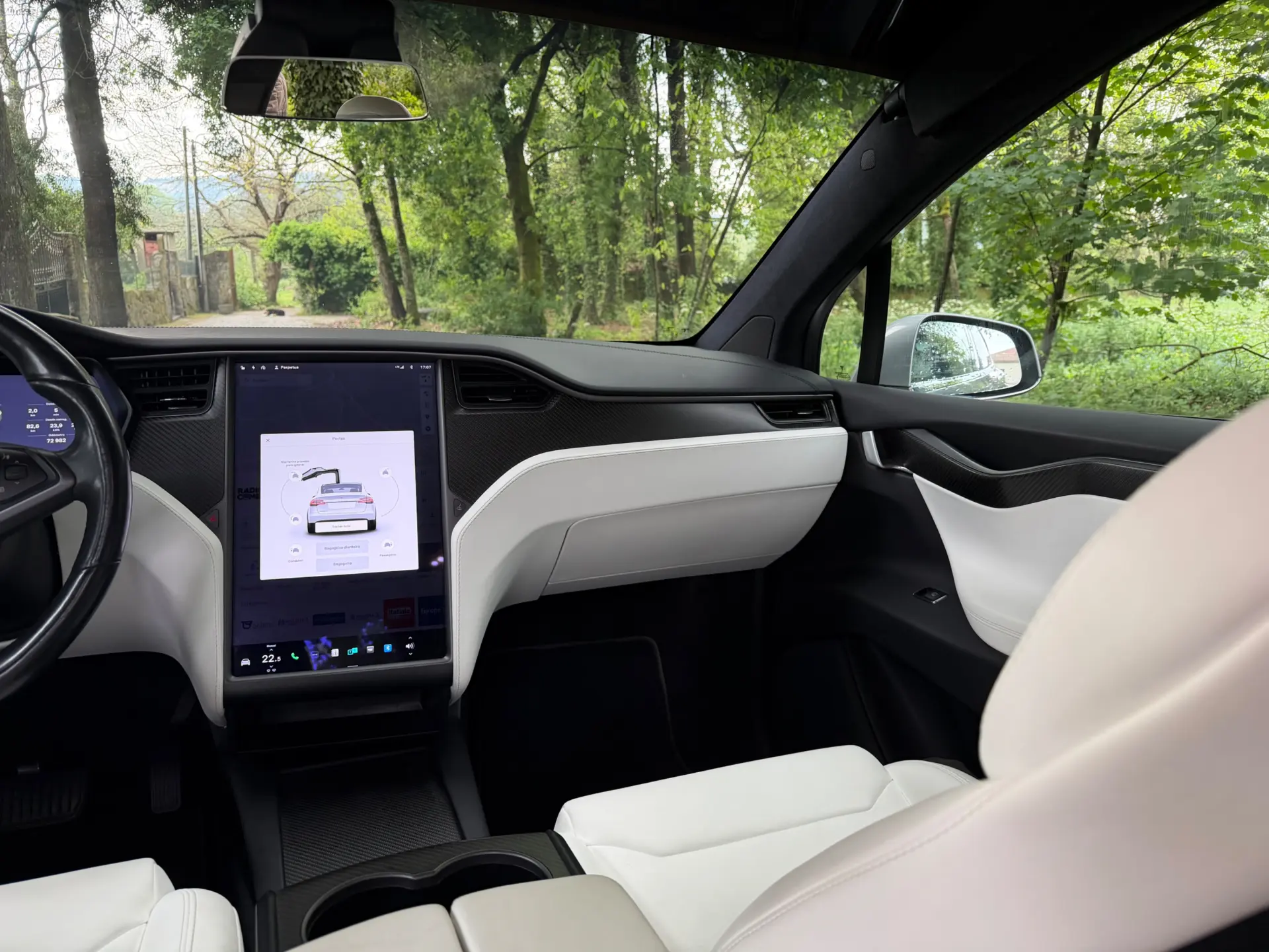 Tesla Model X 100D 31