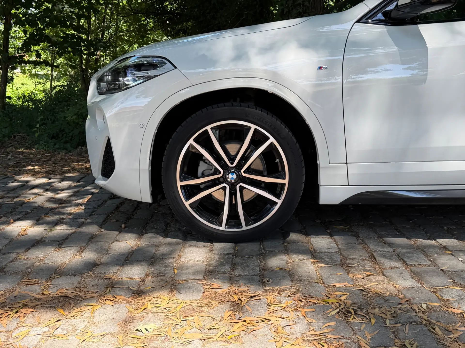 BMW X2 16 d sDrive Auto X Pack M 9